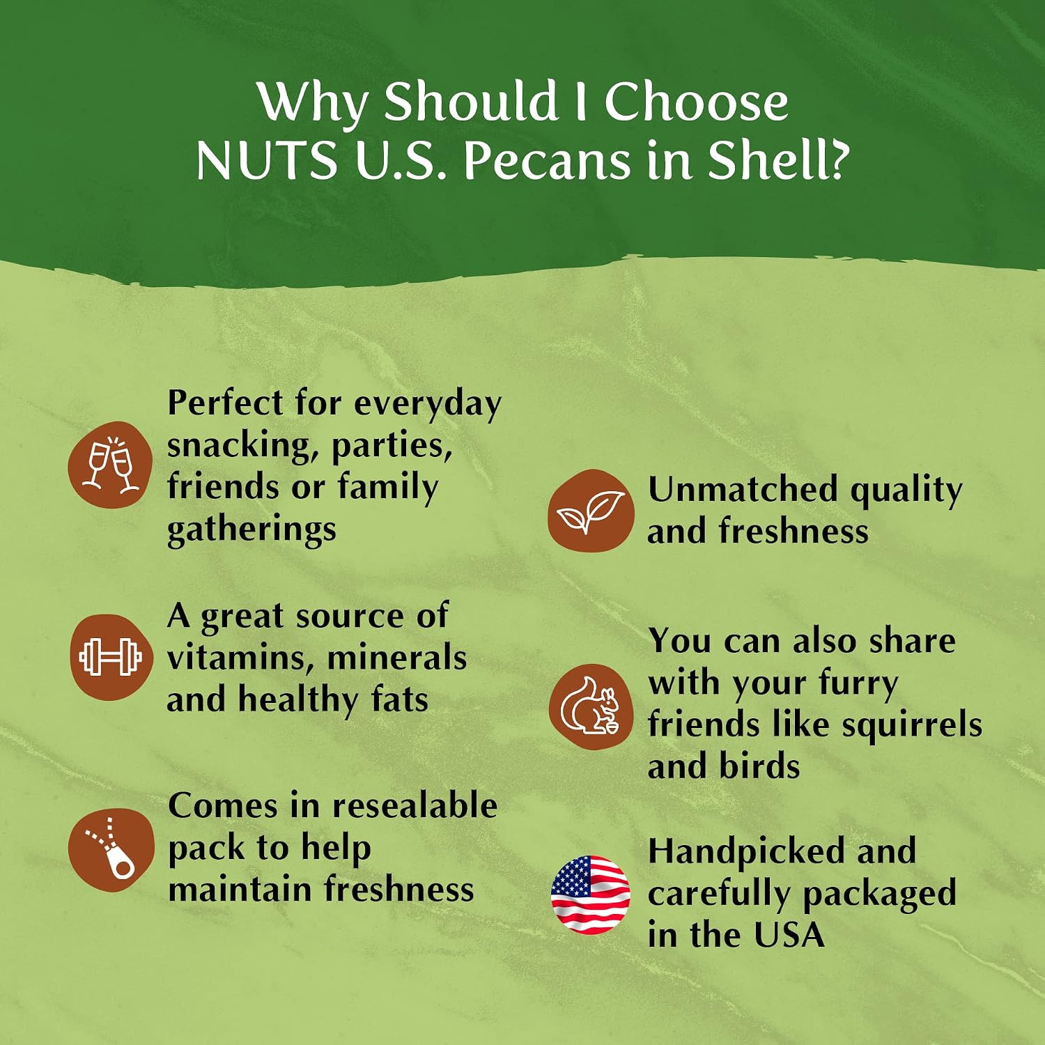 NUTS U.S. - Pecans In shell | Whole