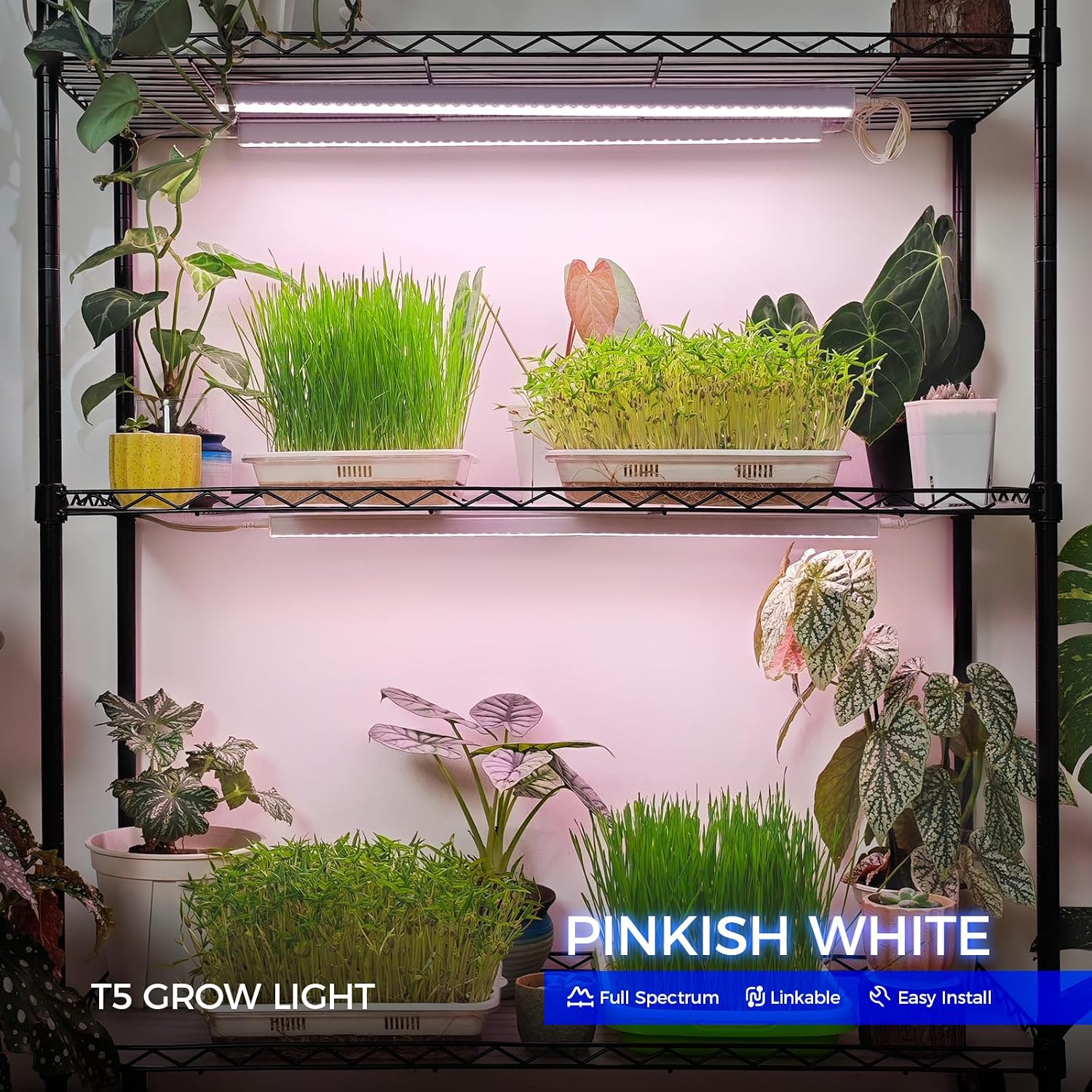 Barrina T5 Grow Lights for Indoor Plants, Full Spectrum, 2FT, 8 Packs