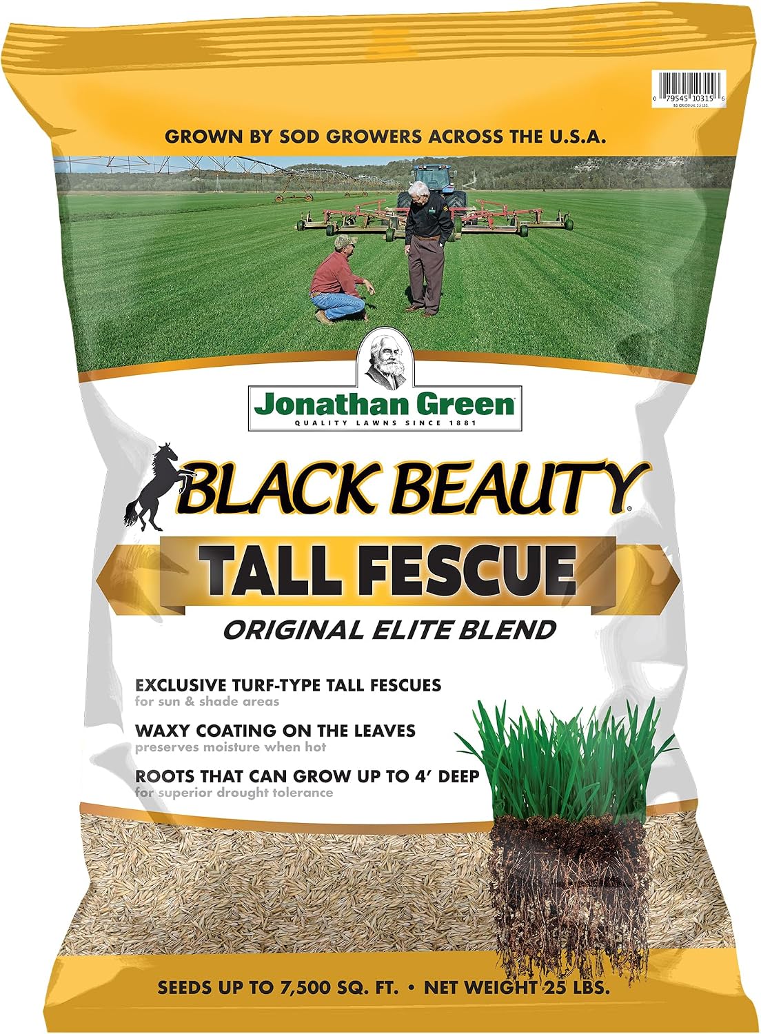 Jonathan Green (10317) Black Beauty Original Grass Seed Blend - Cool Season Lawn Seed (15 lb)