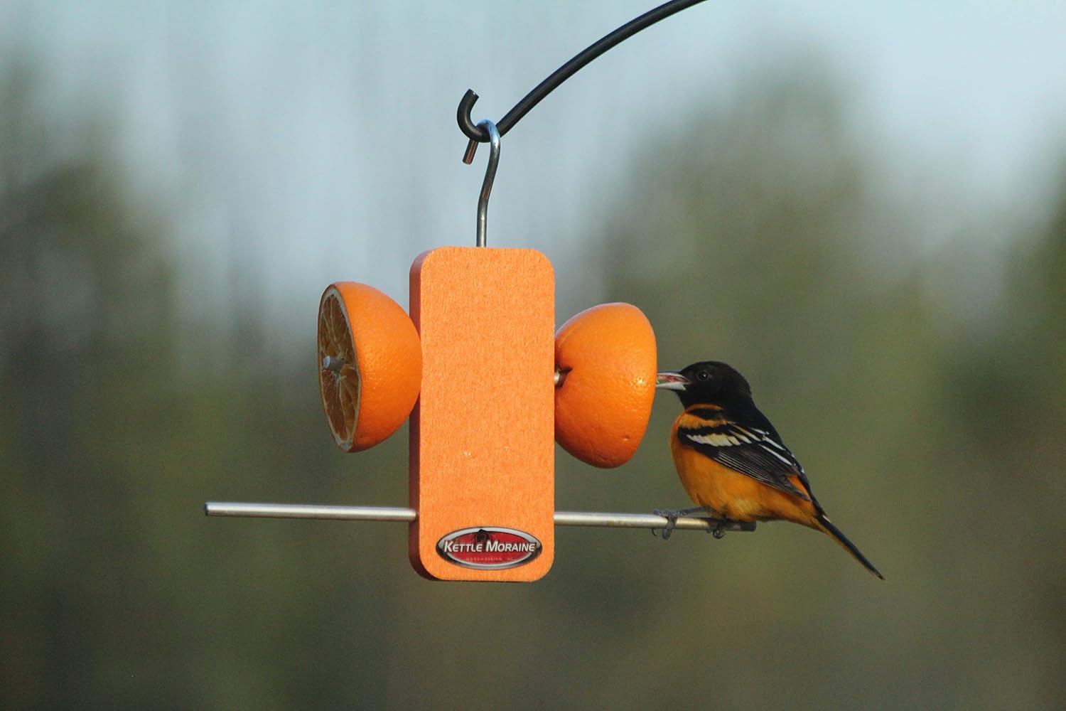 Recycled Single Oriole Orange Fruit Stick Feeder