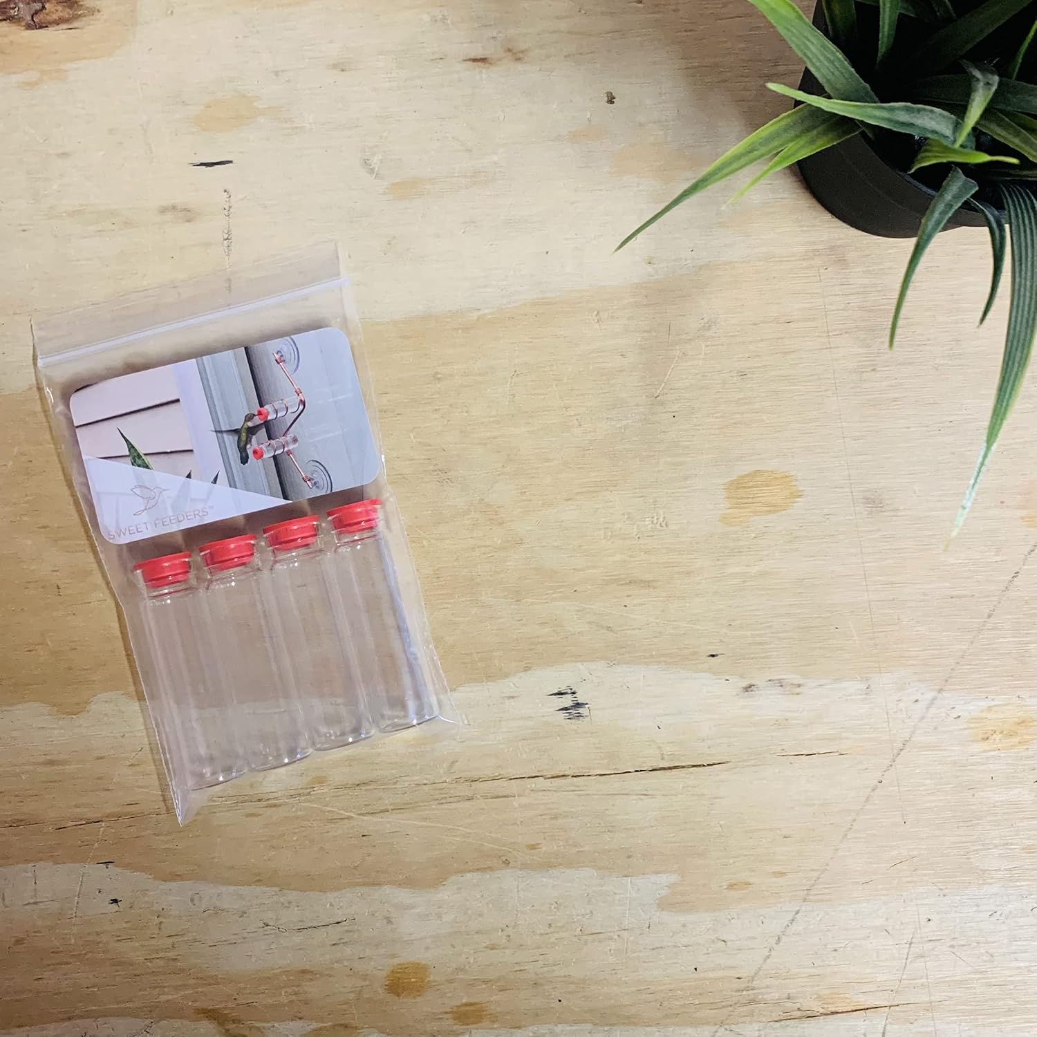Extra Bottles for Hummingbird | Medicine Bottle Tube | Glass Feeder