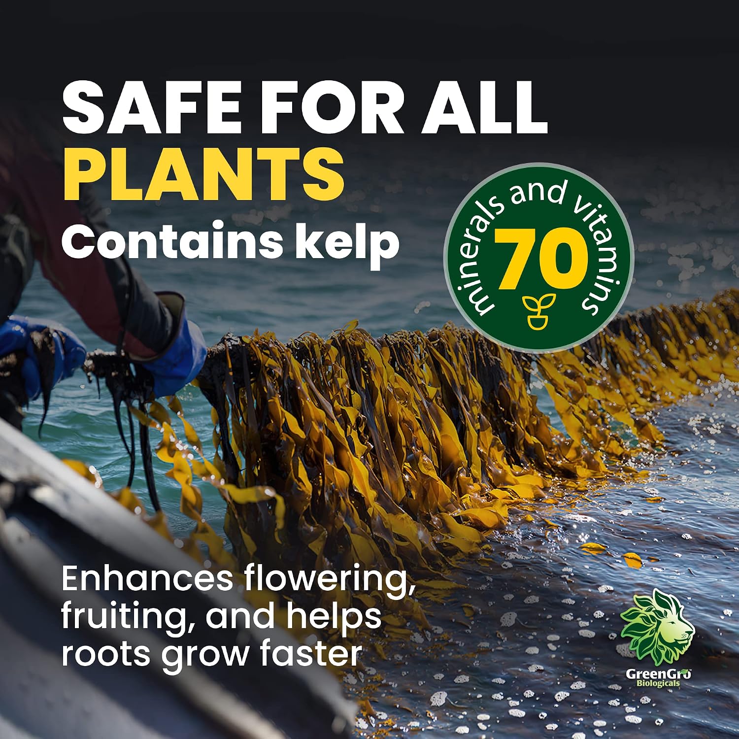 GreenGro Granular Plus Myco All-in-One Fertilizer with Kelp | Humic Acid, Organic Root Stimulator, Plant Food, Mycorrhizae, Indoor & Outdoor Gardens