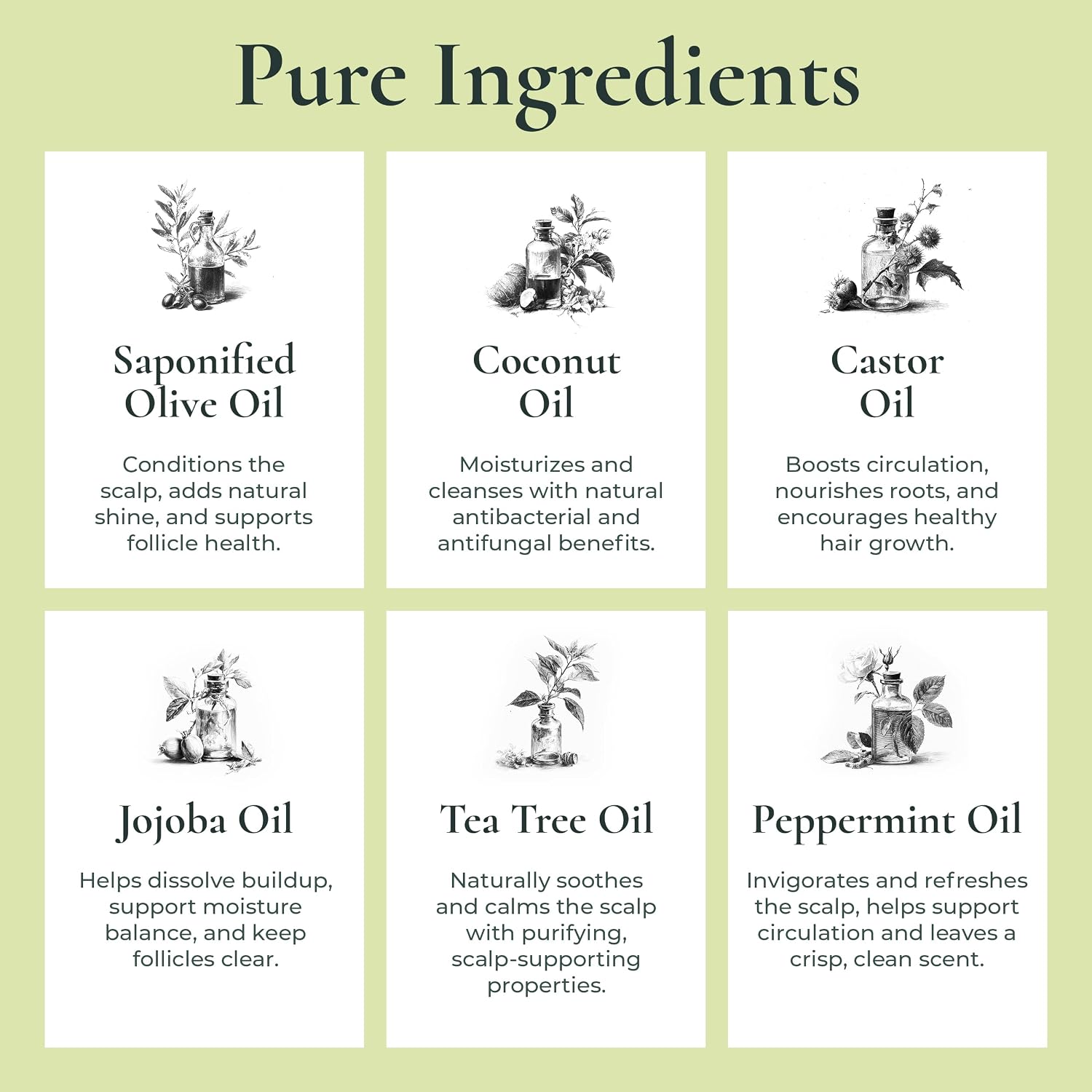 J.R.LIGGETT'S All Natural Shampoo Bar Variety Set 3-Pack, 3.5 oz Each | Tea Tree, Jojoba & Peppermint, and Coconut & Argan Oil Formula