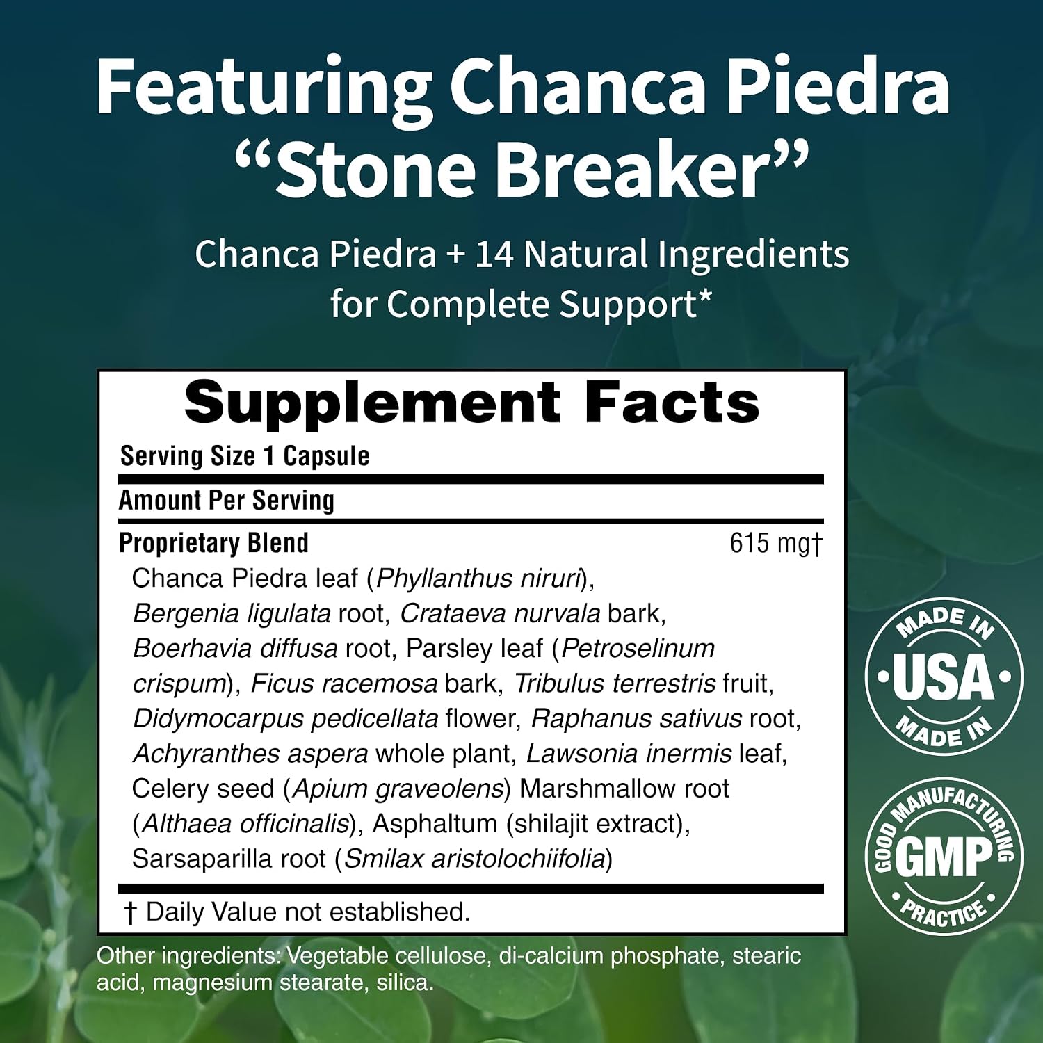 Kidney Cleanse - Premium Kidney Support Supplement with Chanca Piedra Stone Breaker - Supports Natural Cleansing & Urinary Tract Health - 60 Capsules