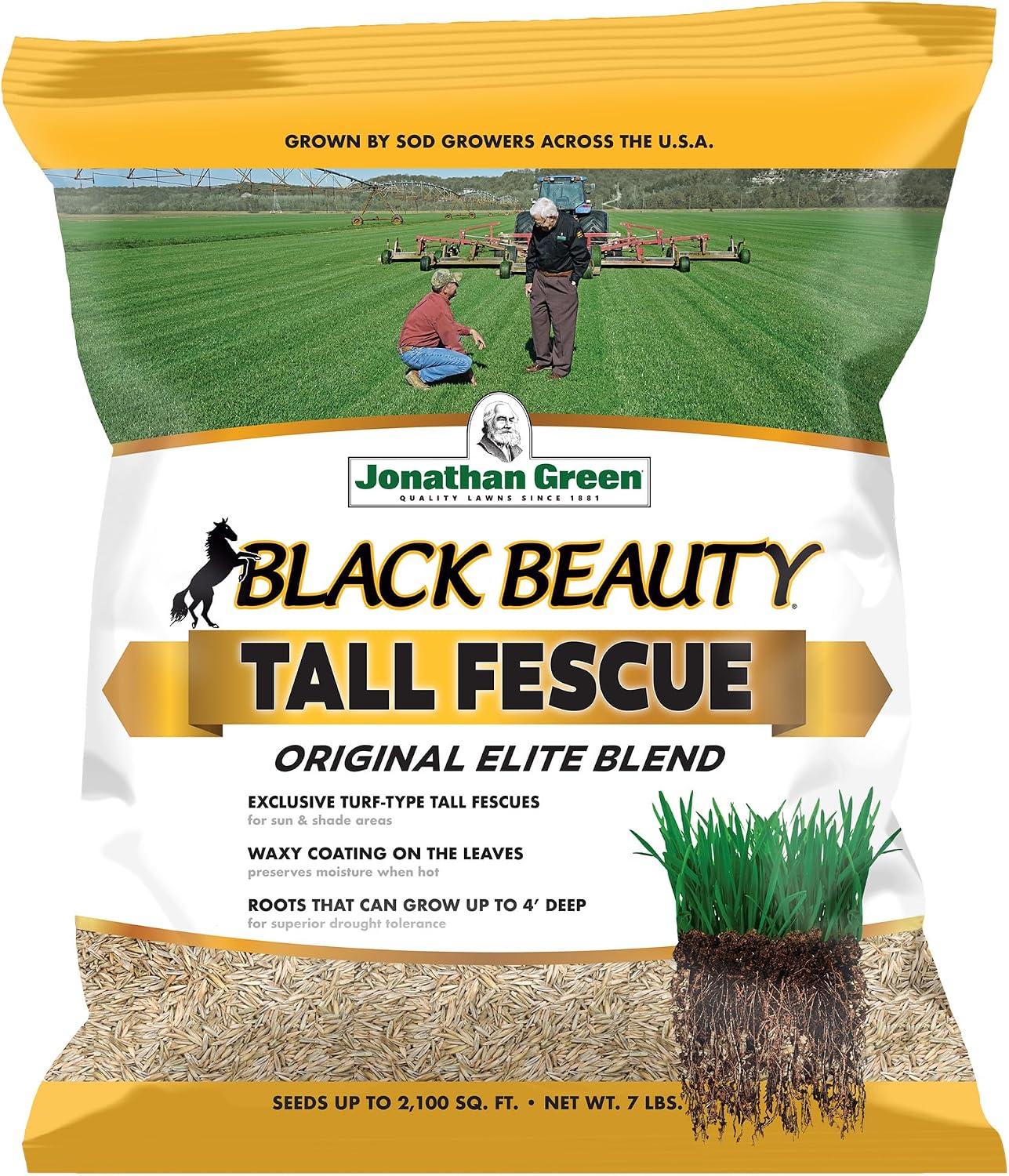 Jonathan Green (10317) Black Beauty Original Grass Seed Blend - Cool Season Lawn Seed (15 lb)