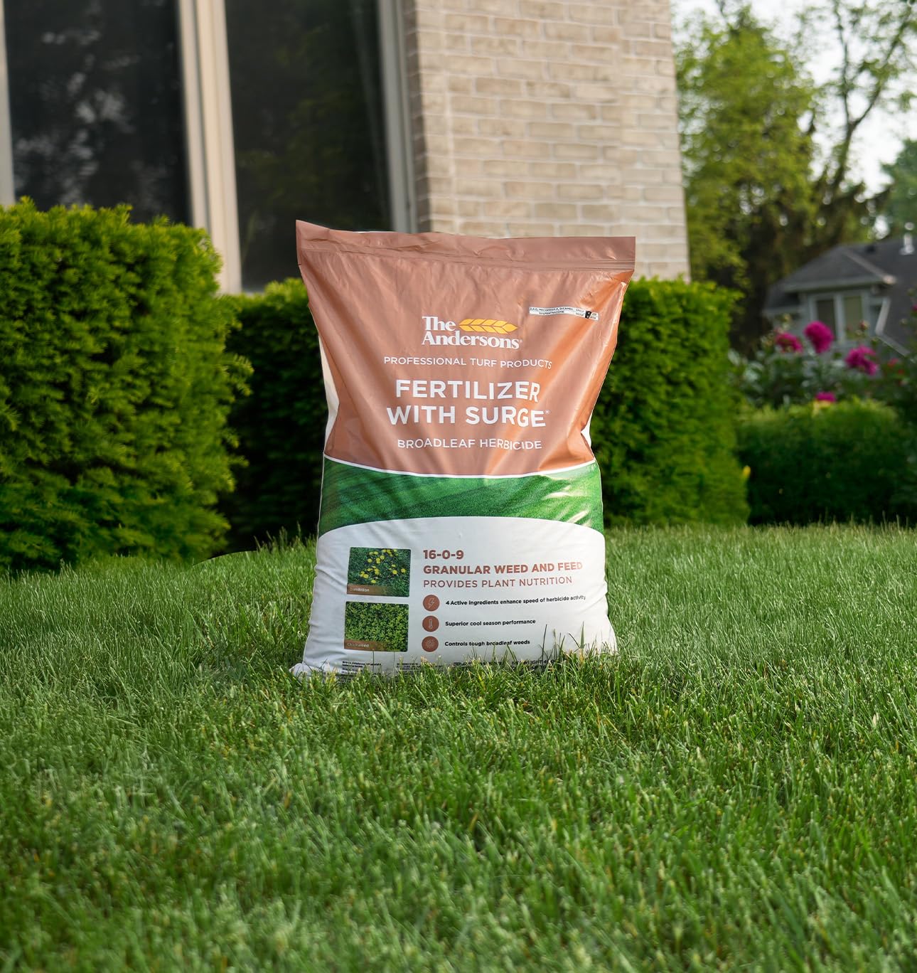 The Andersons Professional Surge Weed and Feed 16-0-9 Post-Emergent Weed Control and Fertilizer - Covers up to 16,000 sq ft (40 lb)