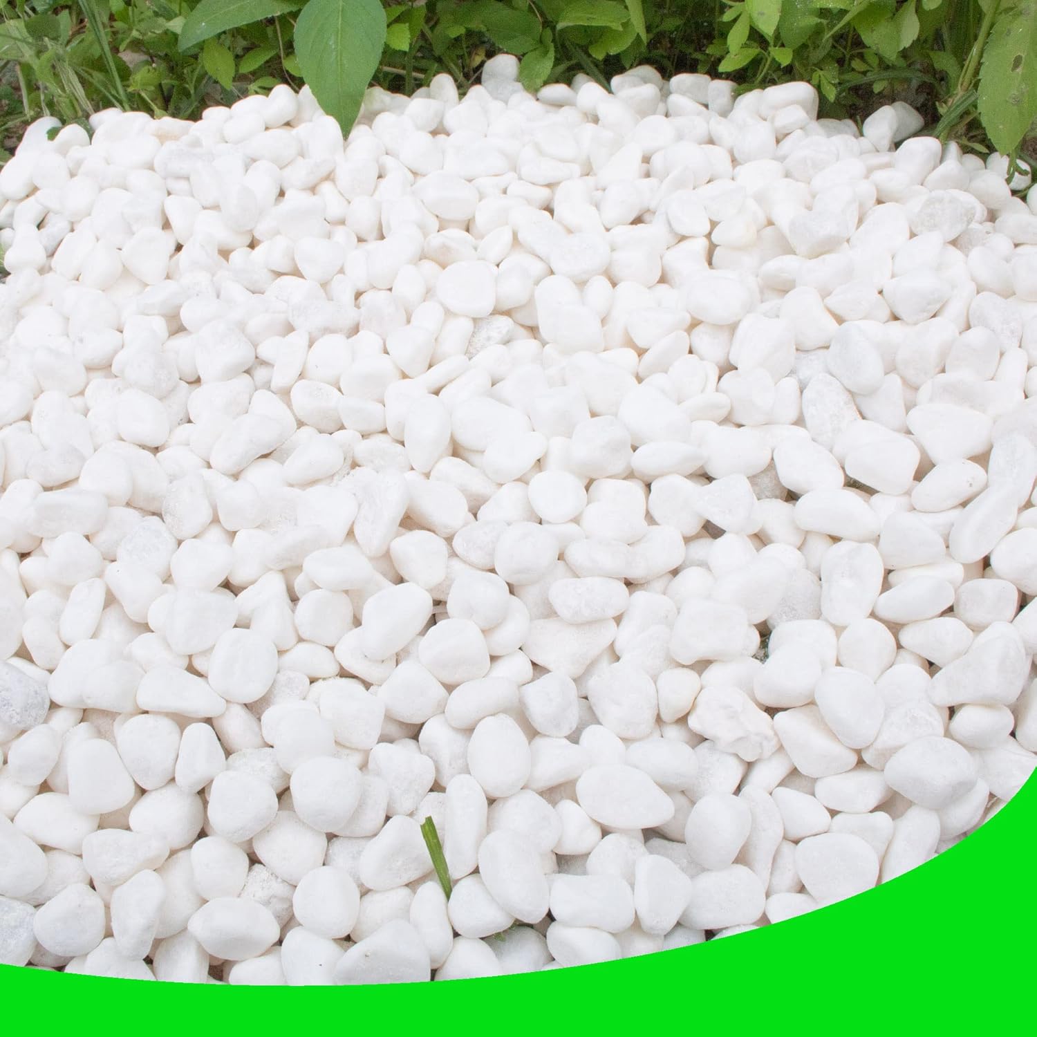 Pebbles for Plants 3 lb Natural Garden Decorative Stone Outdoor Aquariums Gravel 1-1.5 Inches