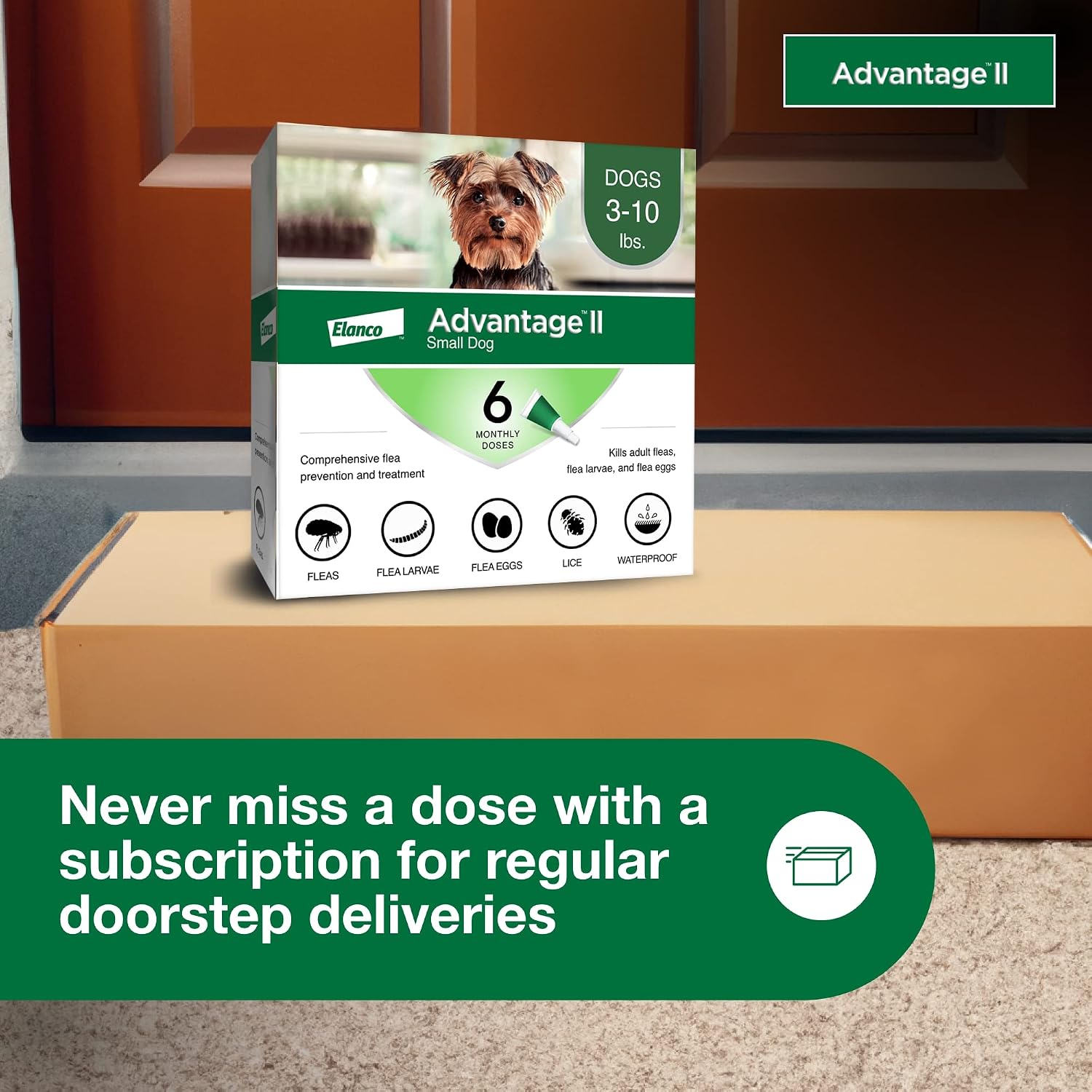 Advantage II Large Dog Vet-Recommended Flea Treatment & Prevention | Dogs 21-55 lbs. | 4-Month Supply