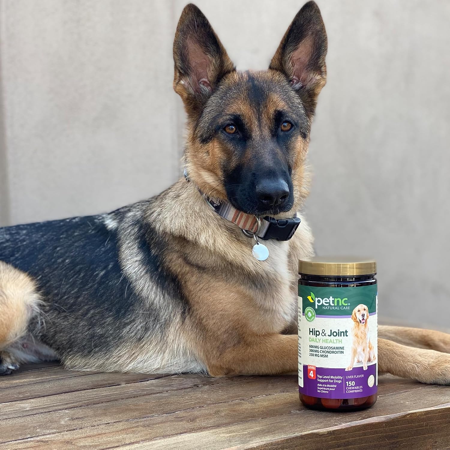 PetNC Natural Care Hip and Joint Soft Chews for Dogs, 90 Count - 27591 | Glucosamine Chondroitin MSM Dog Chews with Hyaluronic Acid, Liver Flavored Bone & Joint Support Supplement, For All Breeds