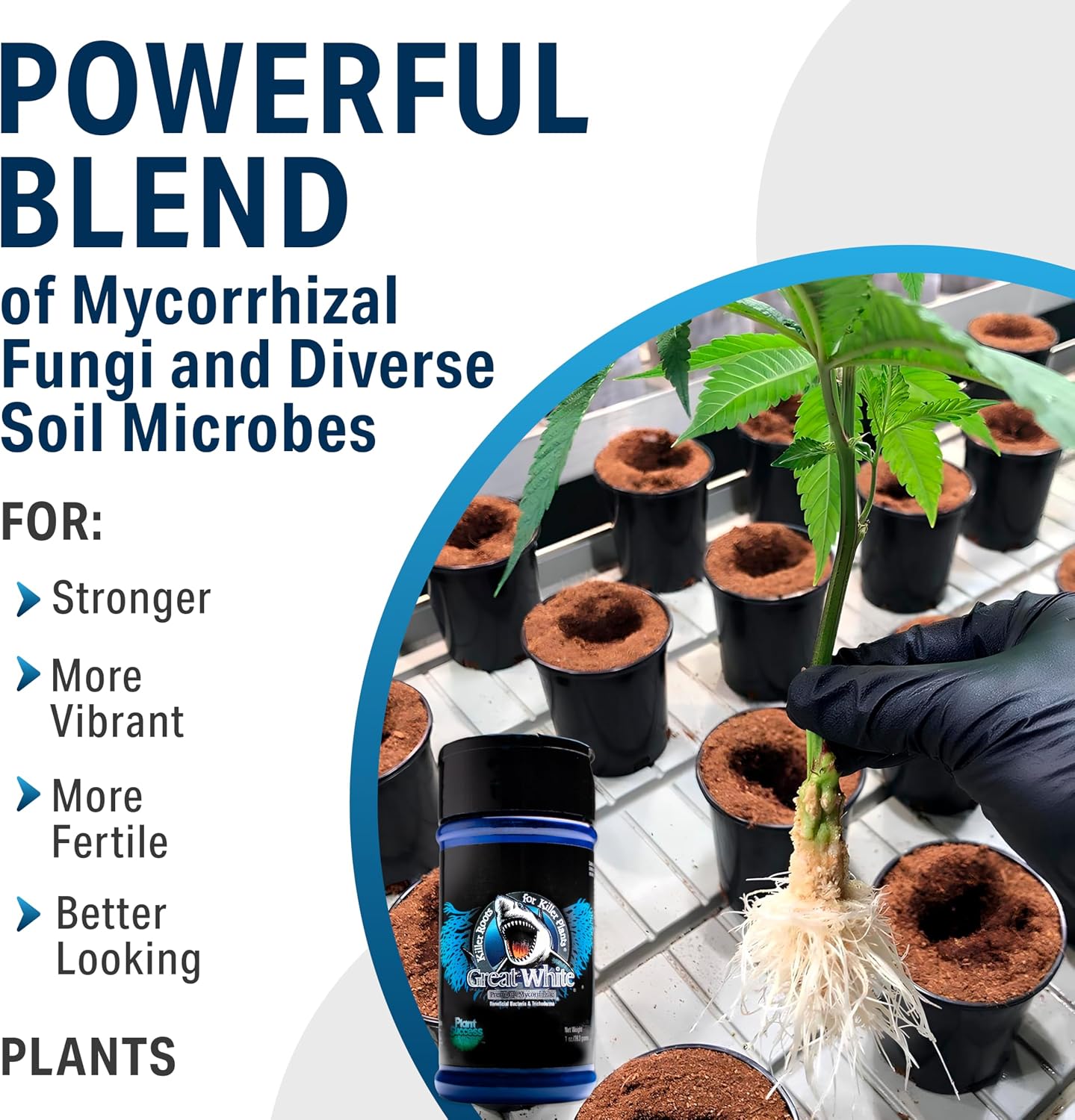 Great White Mycorrhizal Fungi 1 oz, Beneficial Bacteria for Plant Growth, Root Stimulator, Concentrated 3-in-1 Formula by Plant Success (1 oz)