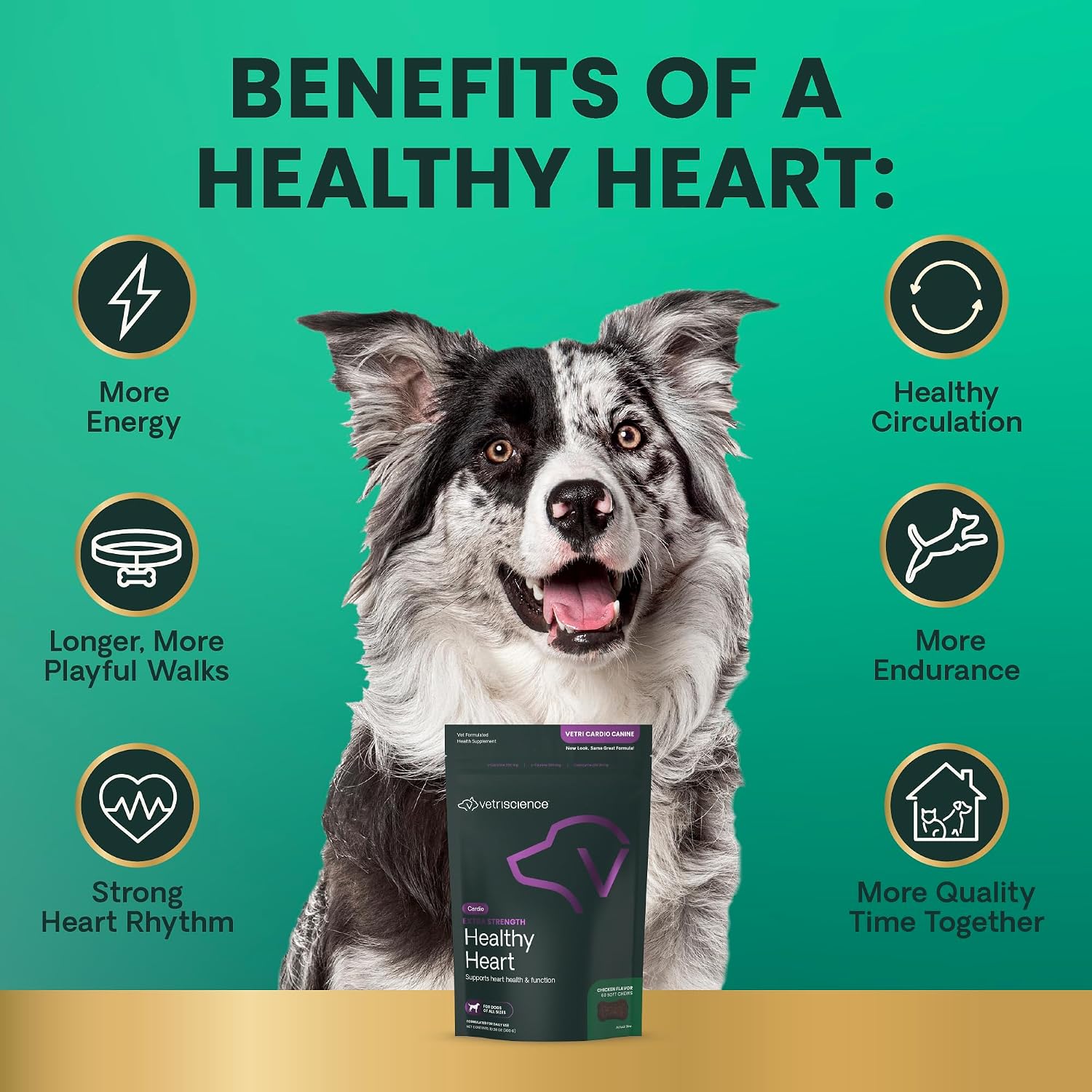 VetriScience Extra Strength Healthy Heart Chews, Vetri Cardio Supplement for Dogs, Cardio Support Supplement with Taurine, Carnitine, CoQ10