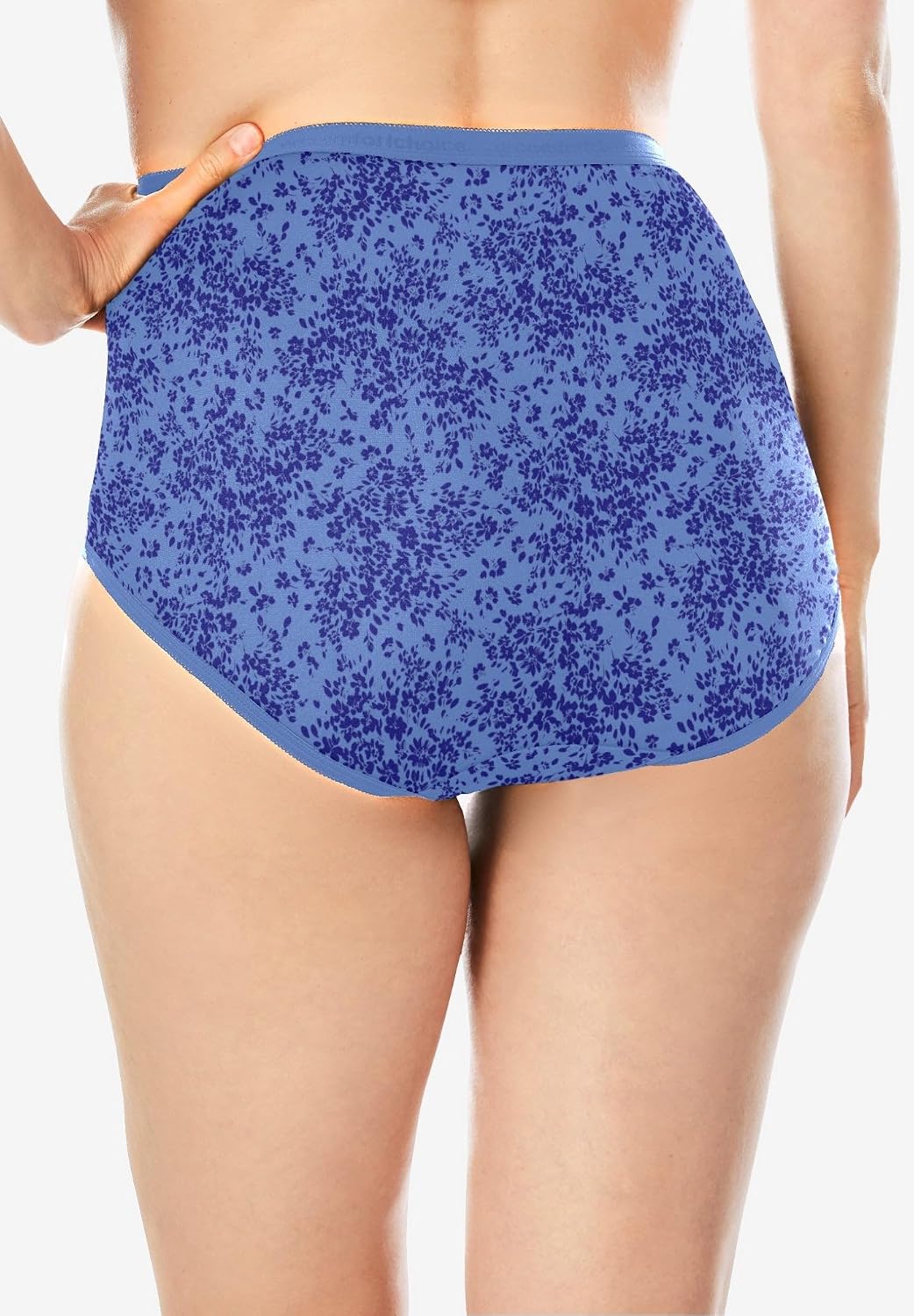 Comfort Choice Plus Size 5-Pack Classic Silky Nylon Brief