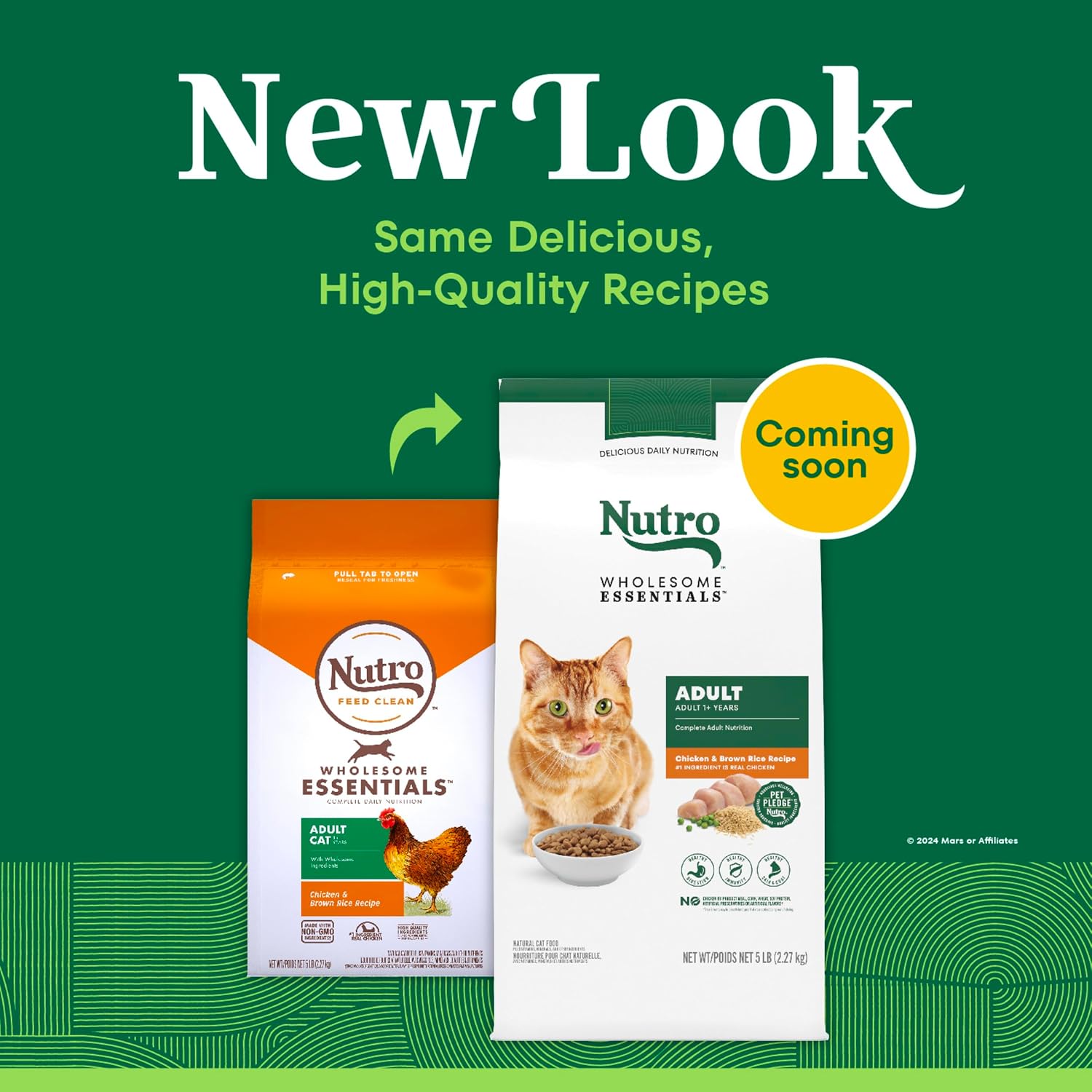 Nutro Wholesome Essentials Adult Dry Cat Food, Salmon & Brown Rice, 3 lb | Real salmon #1 ingredient, Omega-6 for skin & coat, prebiotic fiber for digestion, Vitamin E & Selenium antioxidants