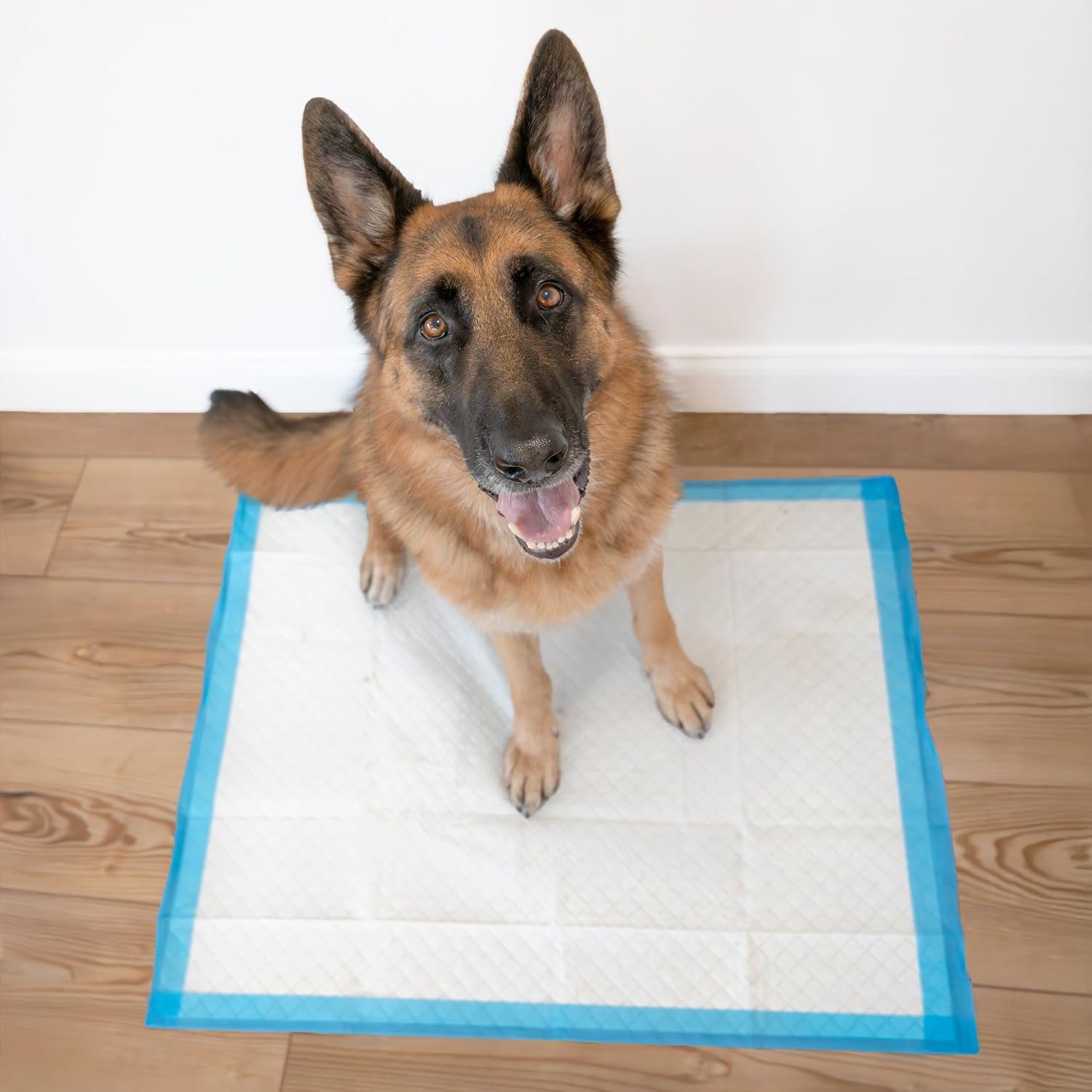 Four Paws Wee-Wee Superior Performance X-Large Dog Pee Pads, 40 Count | Puppy & dog potty training pads, housebreaking supplies, xl puppy pads, pet supplies, 24-hour floor protection, 28" x 34"