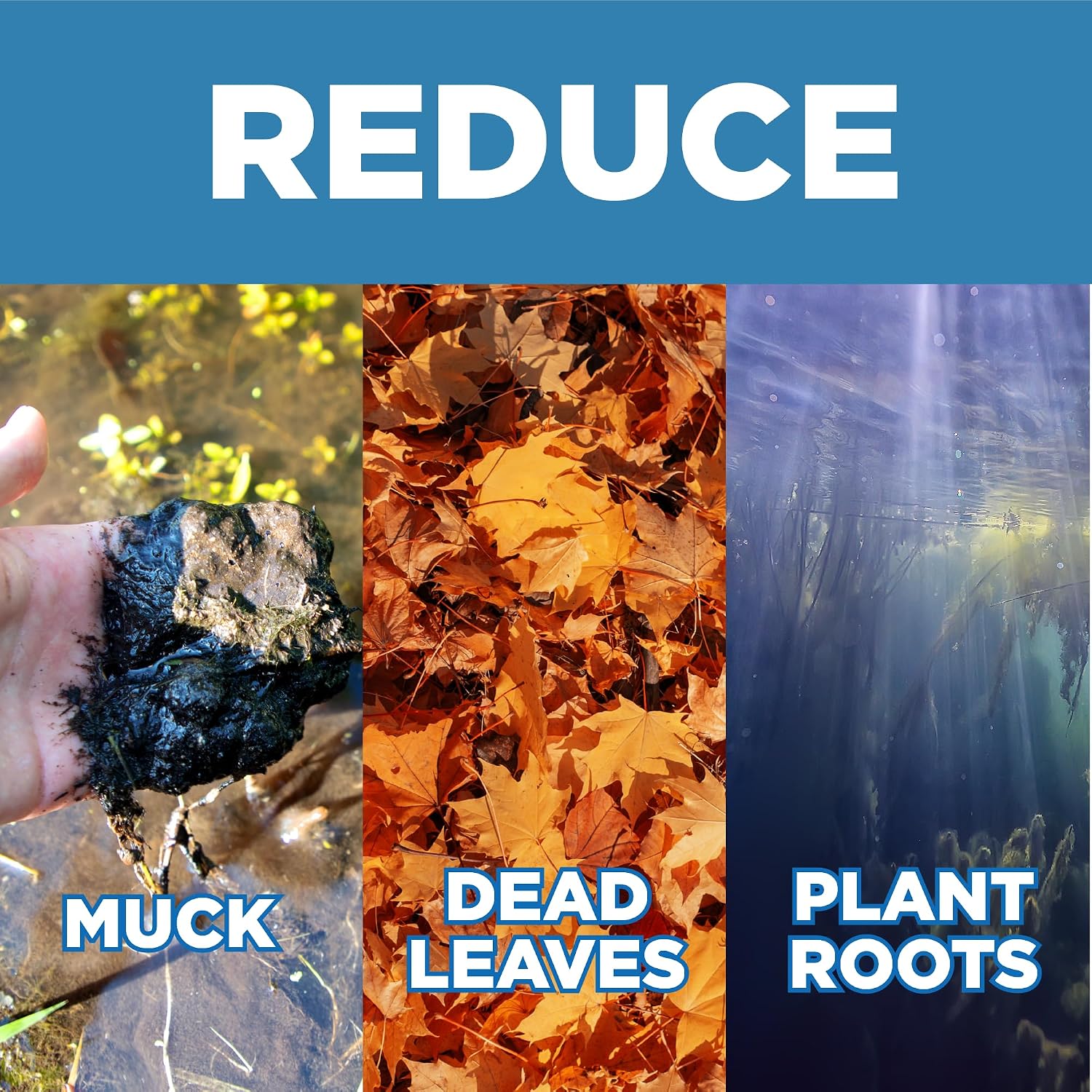 Jenlis Muck Razer Aquatic Weed & Sludge Tiller for Pond & Lake Shorelines | Heavy-duty tool reduces silt, scum, and mud, cleans sand beaches