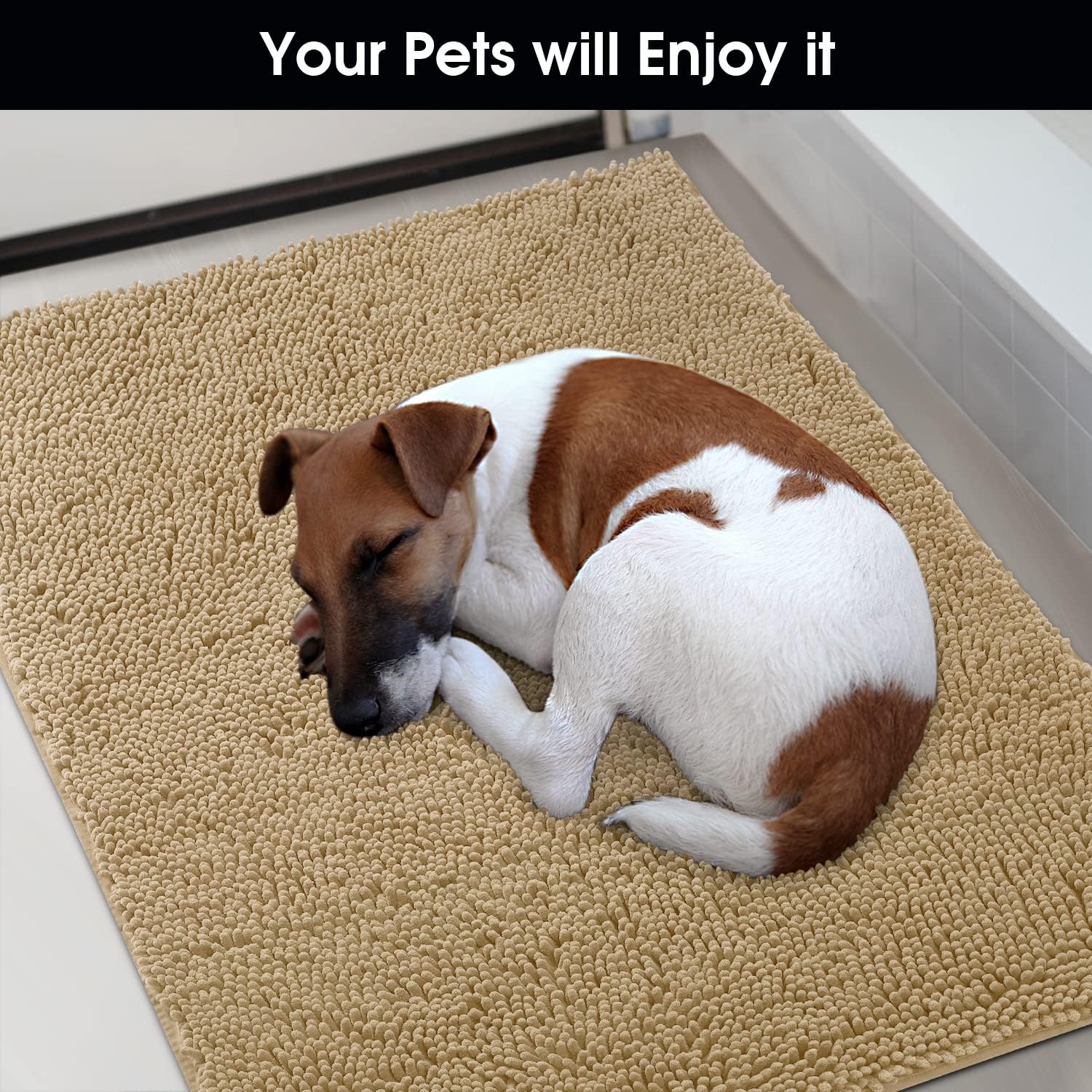 HOMEIDEAS Dog Door Mat for Muddy Paws 30x20, Absorbs Moisture and Dirt, Non-Slip Washable Doormat, Soft Chenille Mud Mat for Dogs
