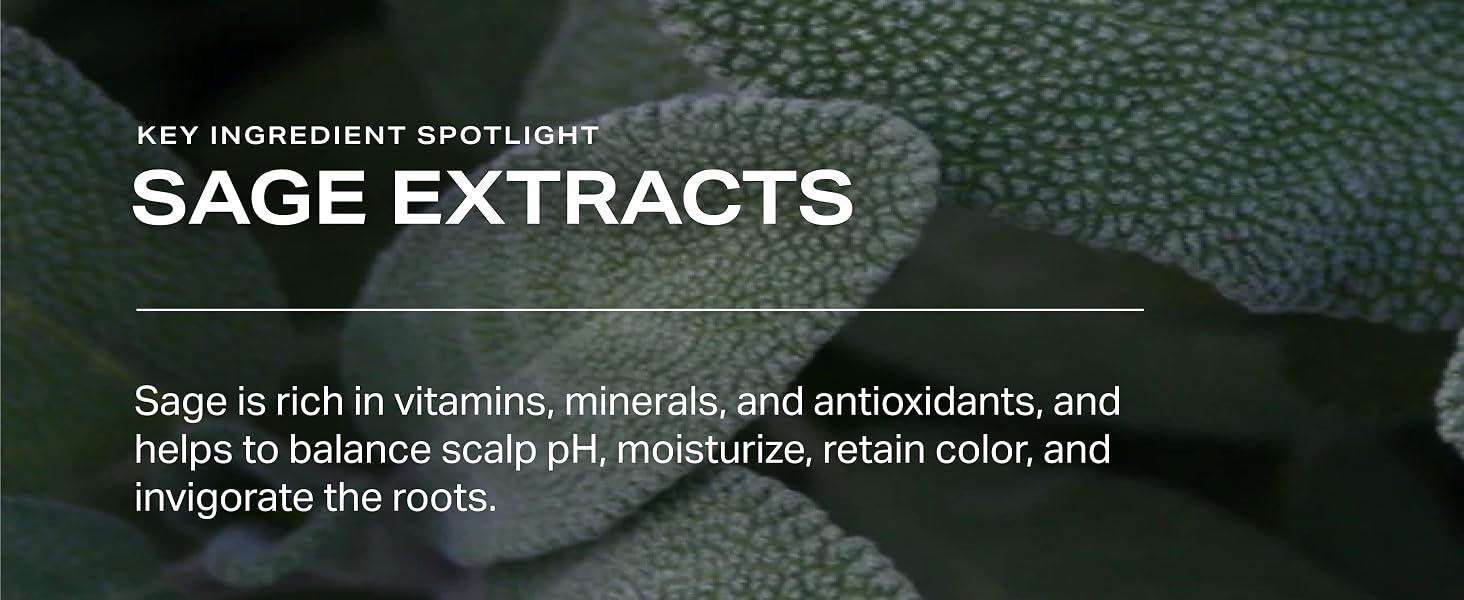 Ingredients: Nettle, Blueberry, Honey, Silk Protein