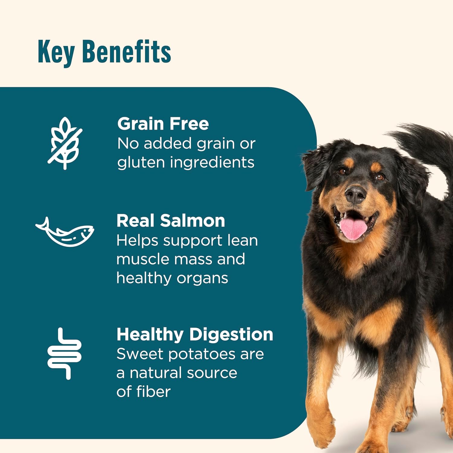 Nutrish Grain Free Salmon Dry Dog Food, 23 lb. Bag (Rachael Ray)