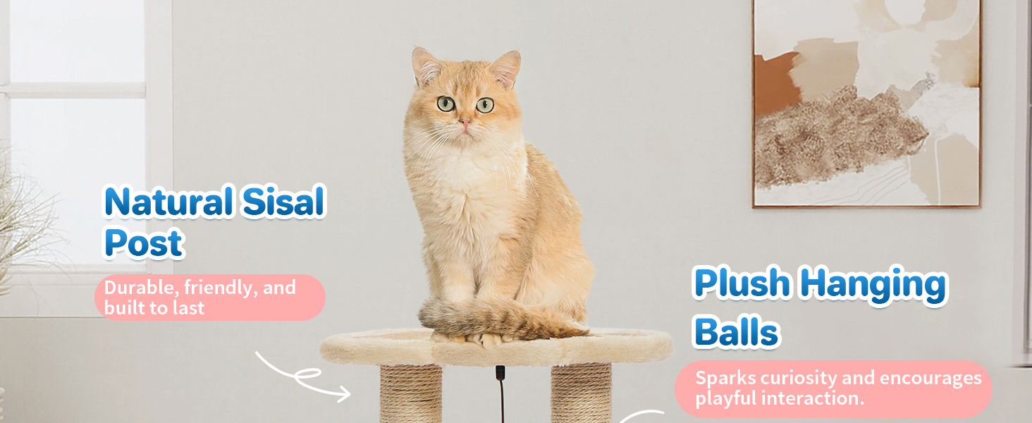 cat scratcher