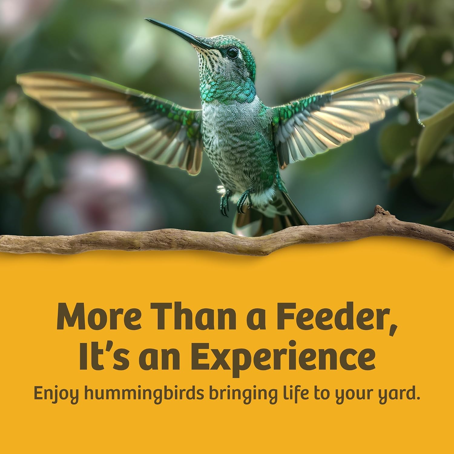 Birds Choice Best-1 Hummingbird Feeder | 32oz Nectar Capacity | Clear | Wide-Mouth Bottle for Easy Filling and Cleaning, Multiple Feeding Ports