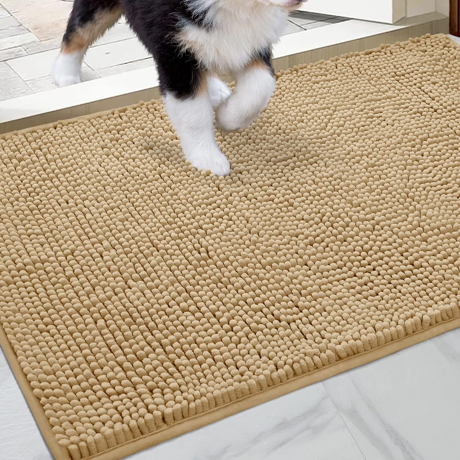 HOMEIDEAS Dog Door Mat for Muddy Paws 30x20, Absorbs Moisture and Dirt, Non-Slip Washable Doormat, Soft Chenille Mud Mat for Dogs
