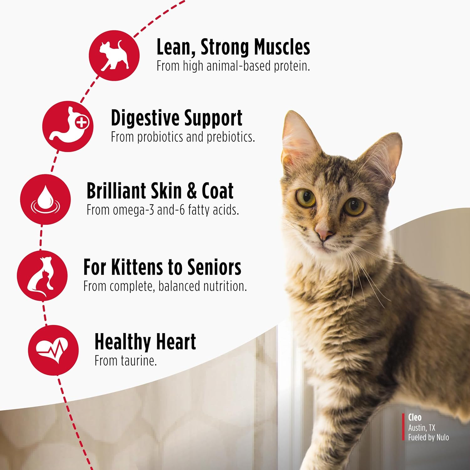 Nulo Freestyle Cat & Kitten Dry Food - Turkey & Duck Recipe, High Protein Grain Free Cat Food, Natural Kibble with Probiotics & Omega Fatty Acids