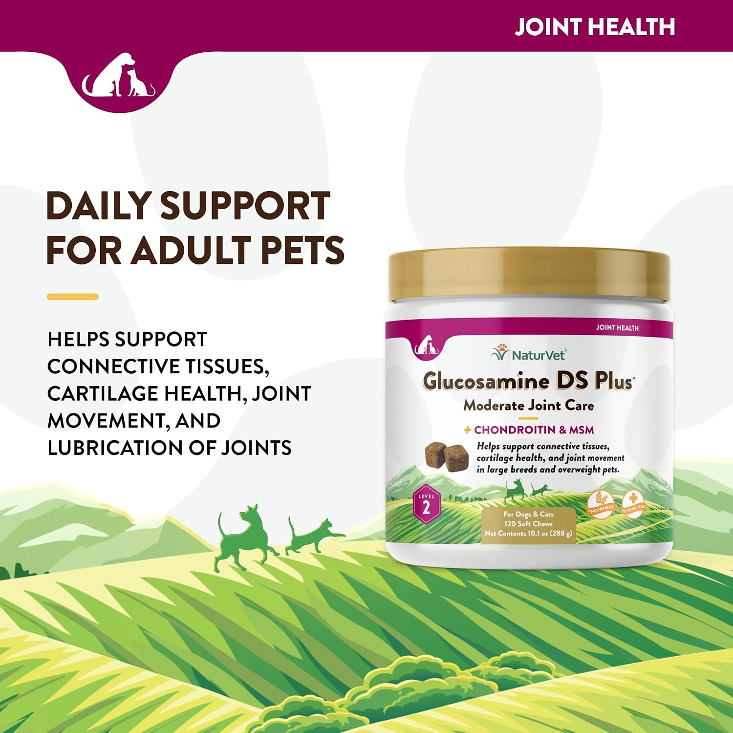 NaturVet – Glucosamine DS Plus - Level 2 Moderate Care – Supports Healthy Hip & Joint Function – Enhanced with Glucosamine, MSM & Chondroitin – for Dogs & Cats–70 Soft Chews