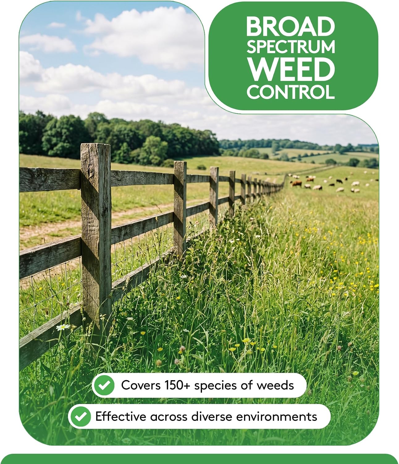 Alligare - Mojave 70EG Weed Killer for Grasses, Weeds & Vines - Total Bareground Weed Control with Long-Lasting Residual