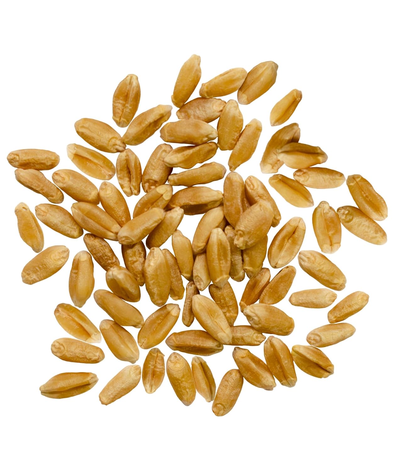 Palouse Brand Certified Glyphosate Residue Free Hard Red Spring Wheat Berries | 5 LBS | 100% Non-Irradiated | Certified Kosher Parve | USA Grown | Non-GMO Project Verified