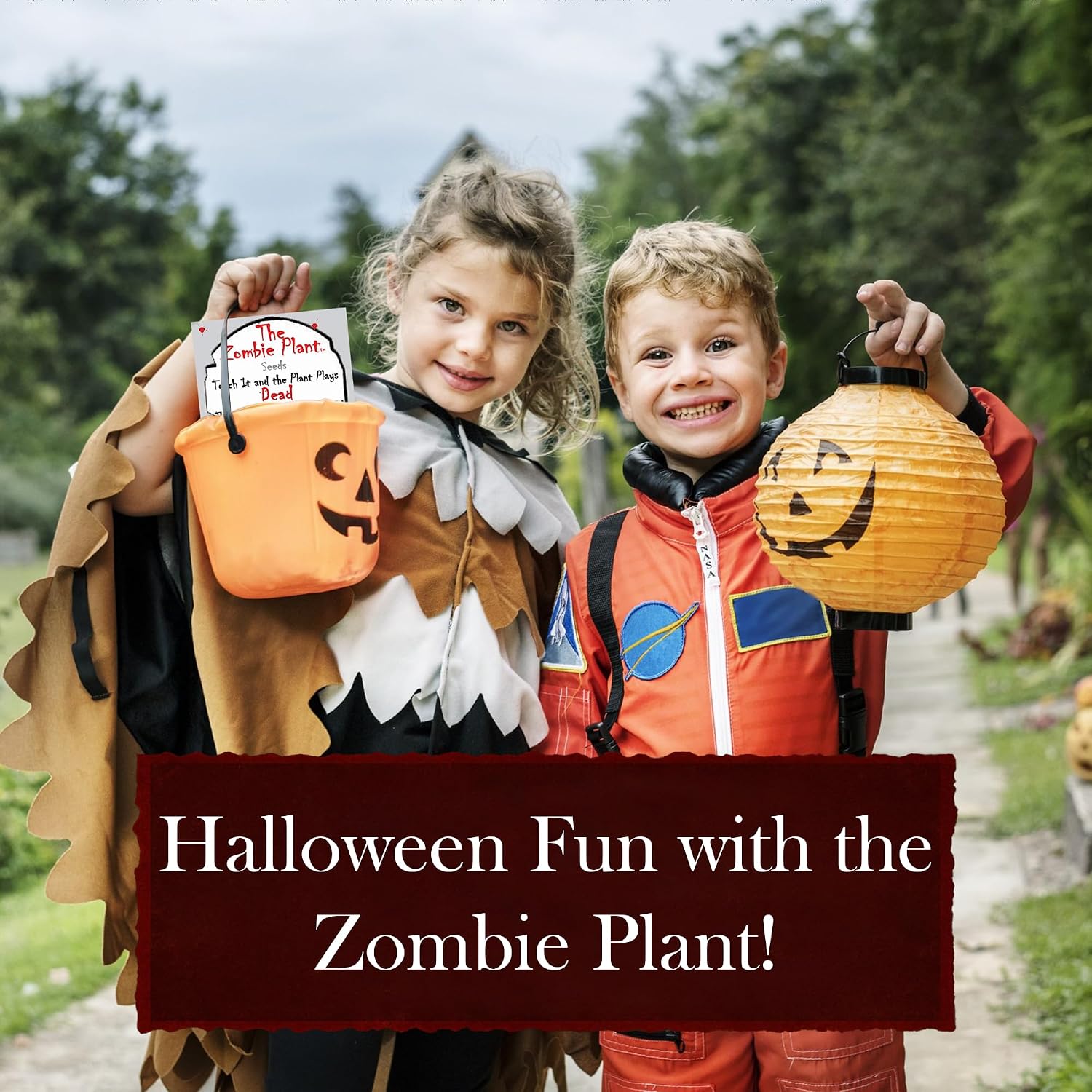 Zombie Plant Seed Packets – Grow a Live Sensitive Plant that Plays Dead When Touched! Indoor Plant Seeds & Educational STEM Activity | House Plant Seeds | Unique Garden Seeds – 2 Pack