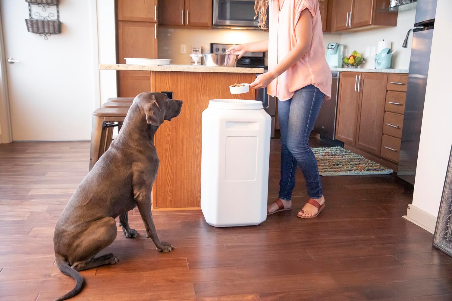 Gamma2 Vittles Vault Pet Food Storage Containers - Sealed Dog and Cat Food Storage Container, Fits up to 25lbs, Made in the USA - [12"L x 13.75"H] | Made in USA, 12 inch long by 13.75 inch tall, airtight lid keeps kibble fresh and pests out, a durable pa…