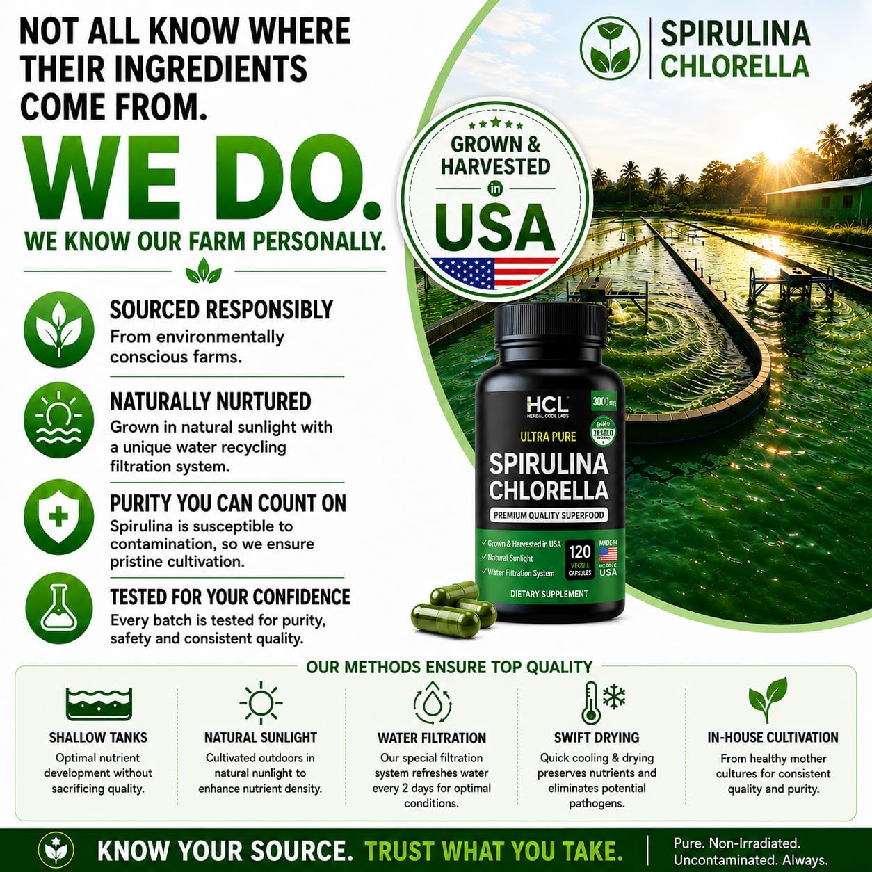 Chlorella Spirulina Powder Capsules 3000 mg of BMAA Free Purest Blue Green Algae - Best Natural Detox Raw Vegan Vitamins Protein Green Superfood