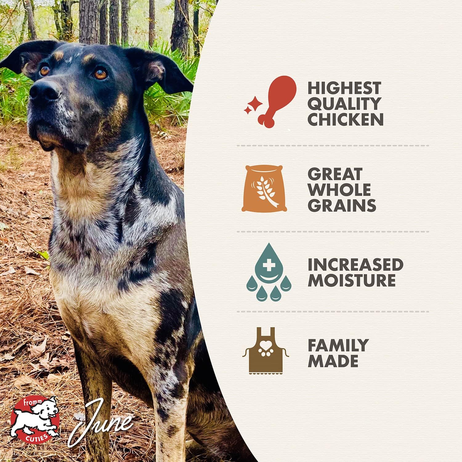 Fromm Venison & Lentil Pate Dog Food - Premium Wet Dog Food - Venison Recipe - Case of 12 Cans