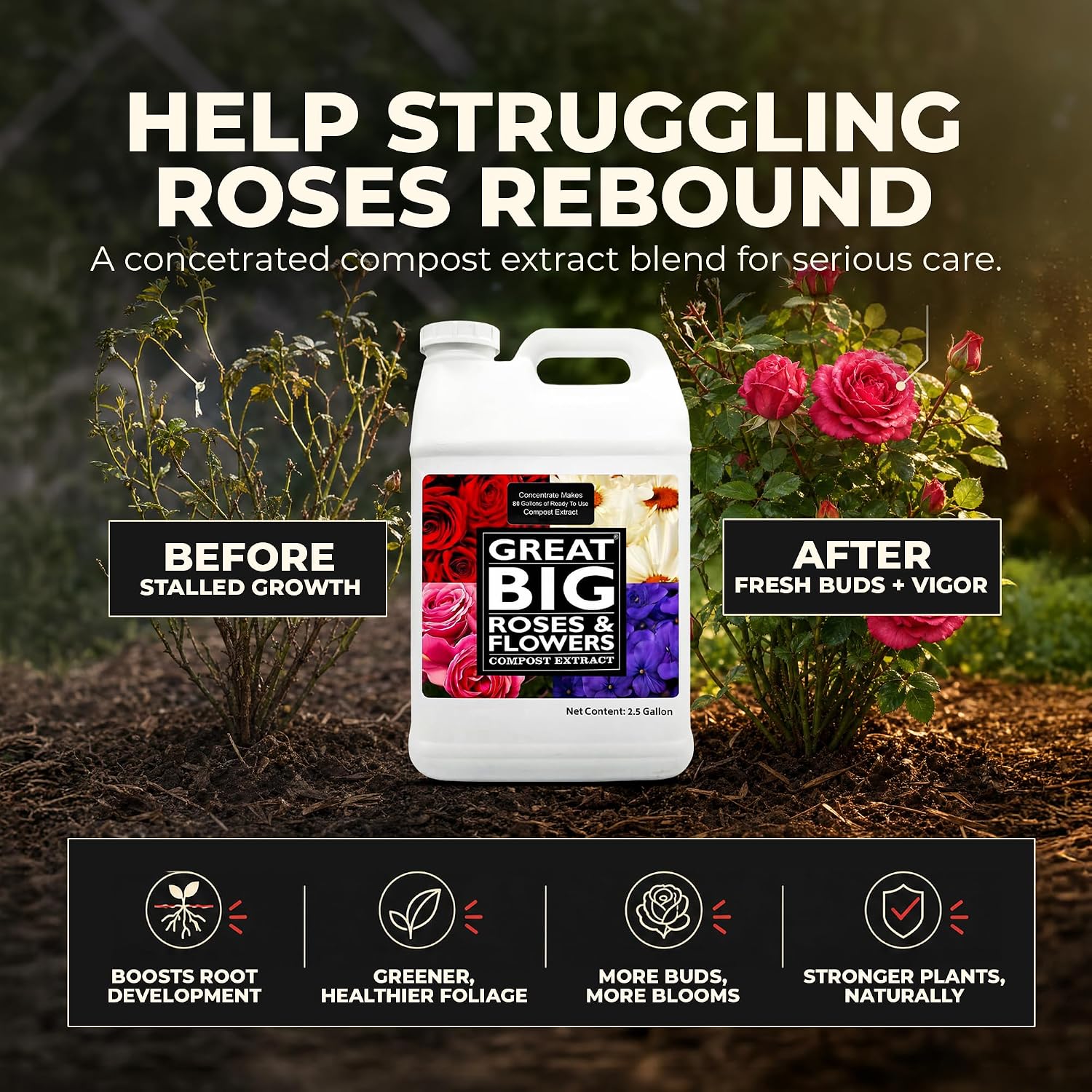 Great Big Roses Fertilizer Booster for Rose & Flower Gardens, 32 Ounce | Organic; For Roses, Flowers, Hydrangeas & Flowering Shrubs; Mix 4 oz per gal water; More Blossoms & Better Root Uptake