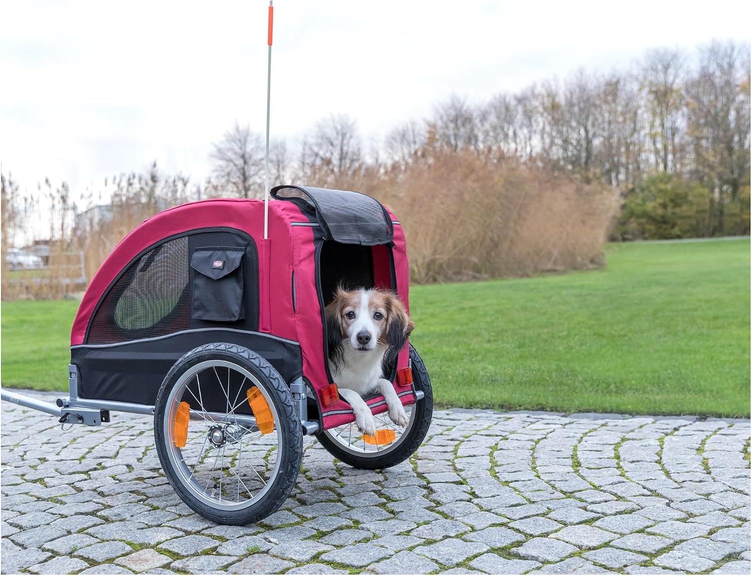 TRIXIE Medium Dog Bike Trailer - Foldable Pet Bicycle Trailer for Dogs up to 48lbs – Features Quick Fastening Wheels, 2 Doors, Safety Leash & Waterproof Carrier - 50 x 25 x 26.5in - Black/Red