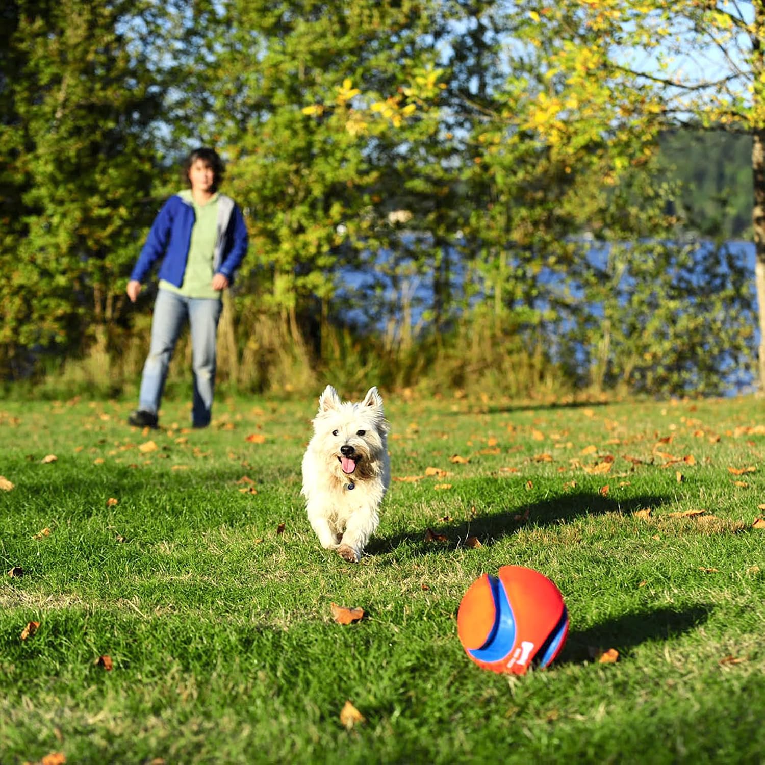 Chuckit! Kick Fetch Ball Dog Toy, Floats in Water, Large 8 Inch Diameter | Durable rubber and foam build, interactive play design, great for pool or lake sessions, built for big breed dogs each day