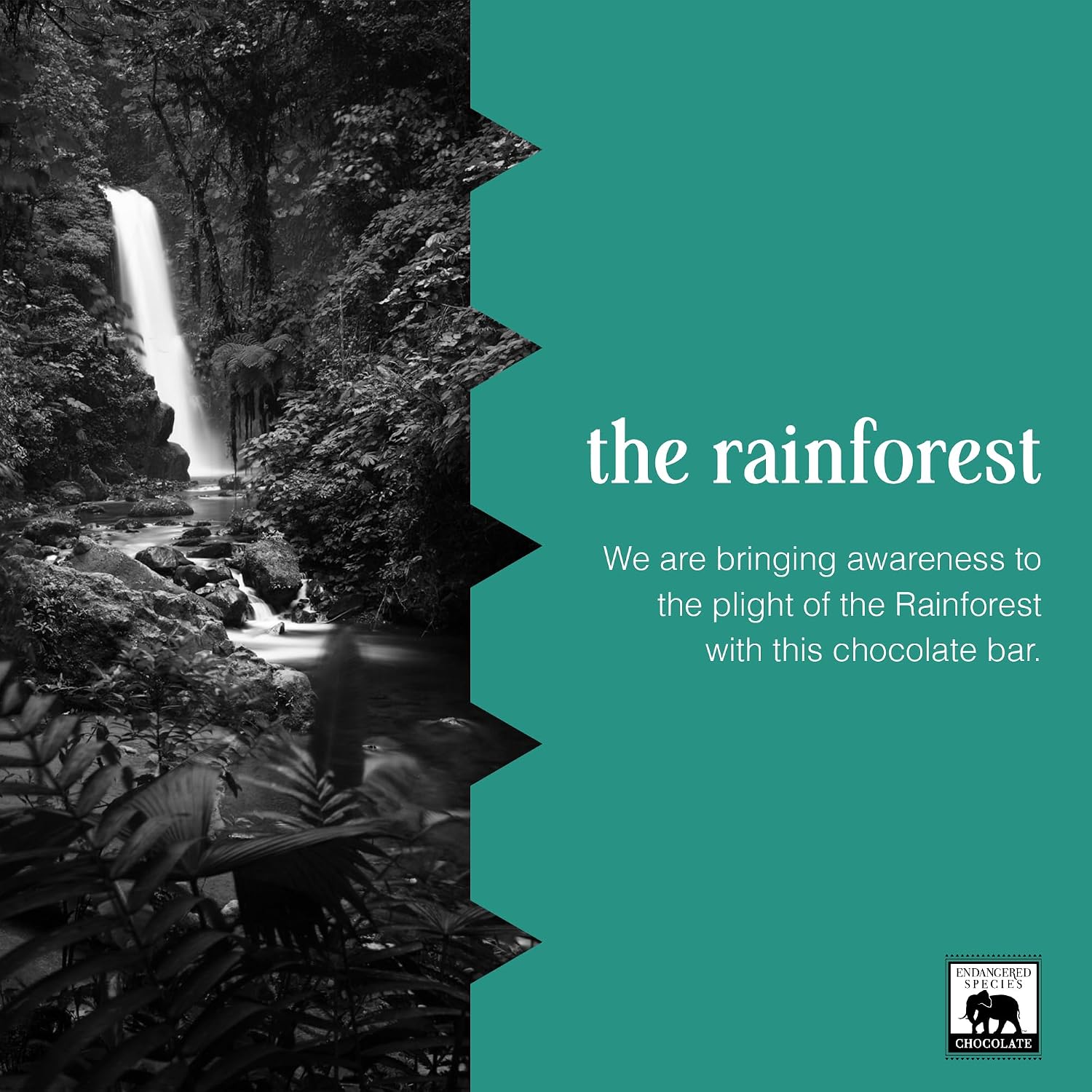 Dark Chocolate with Caramel & Sea Salt (60% cocoa) | Rich 60% dark chocolate with caramel and sea salt for a perfect balance of sweet, salty, and bold cocoa.