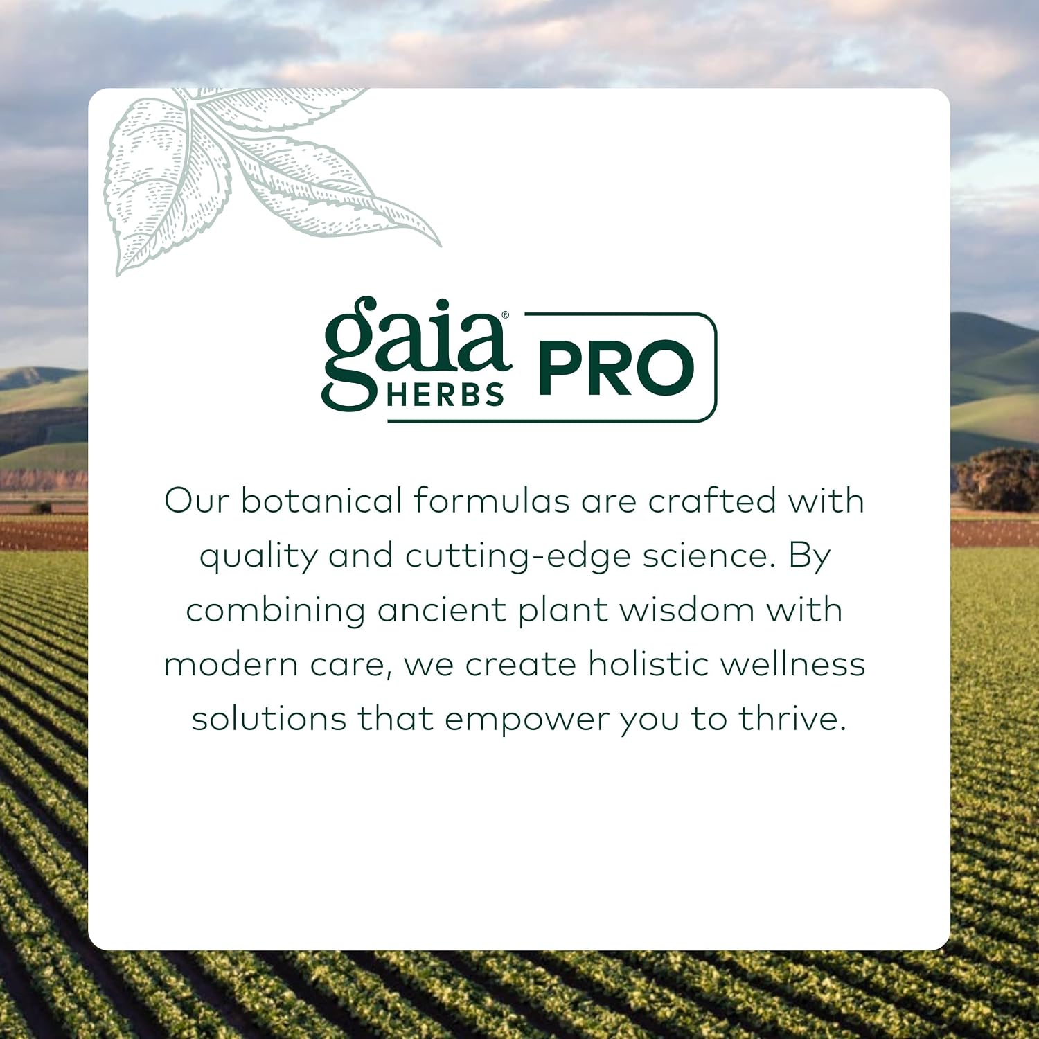 GAIA HERBS PRO Female Support Formula - Supports Healthy PMS & Menopause Fluctuations with Alfalfa Leaf, Black Cohosh Root Extract