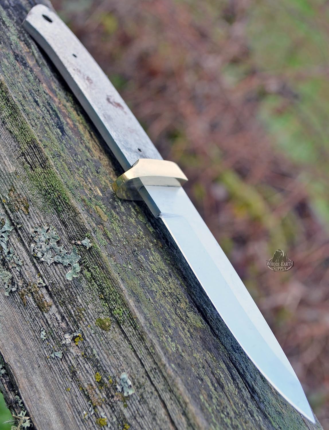 420 Stainless Steel Knife (420 Stainless Steel, 3.5 Inch Blade & 4.5 Inch Blade)