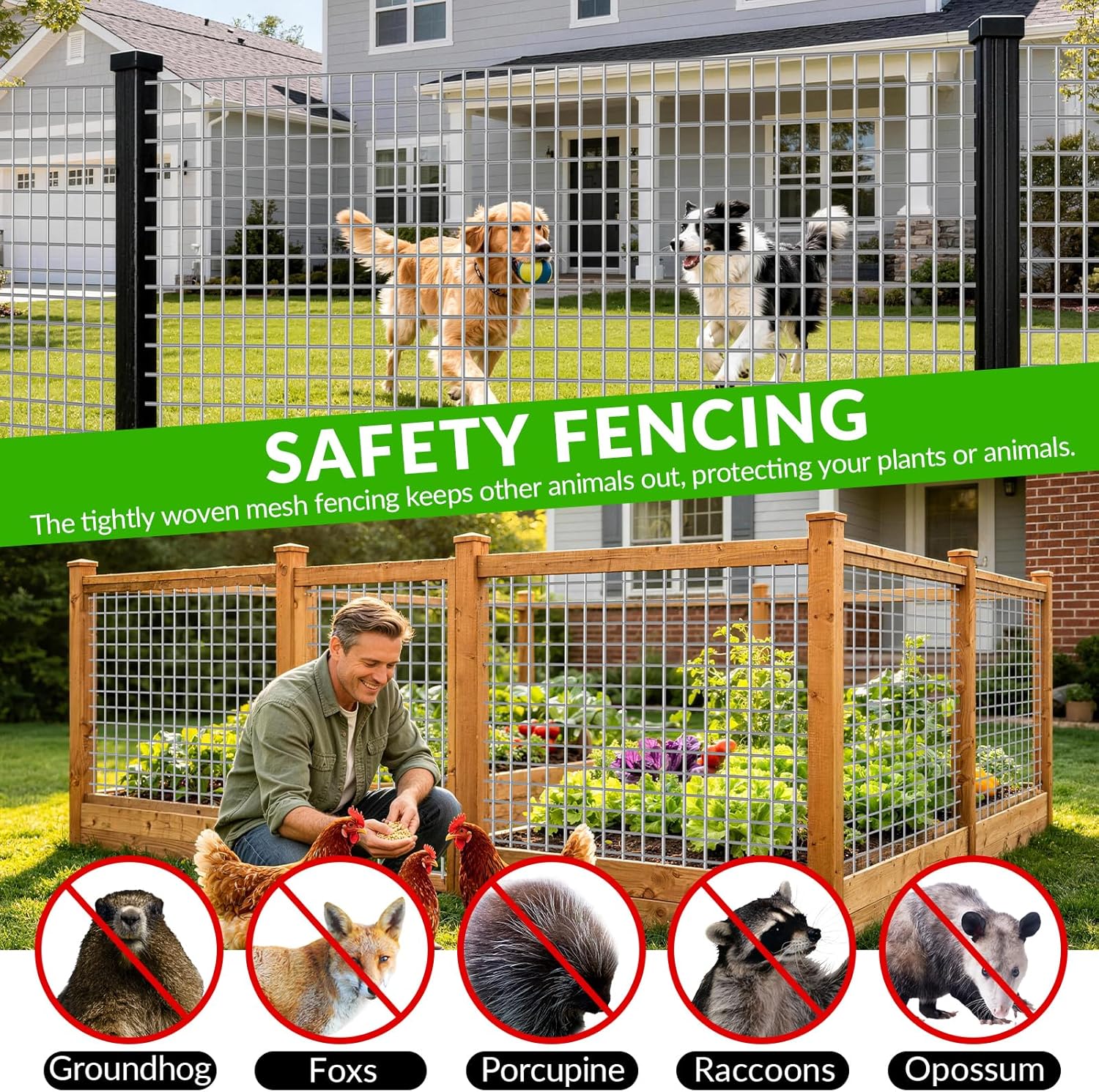 24'' x 50' 1inch Hardware Cloth 16 Gauge Black Vinyl Coated Welded Fence Mesh for Home and Garden Fence and Home Improvement Project (24'' x 50')