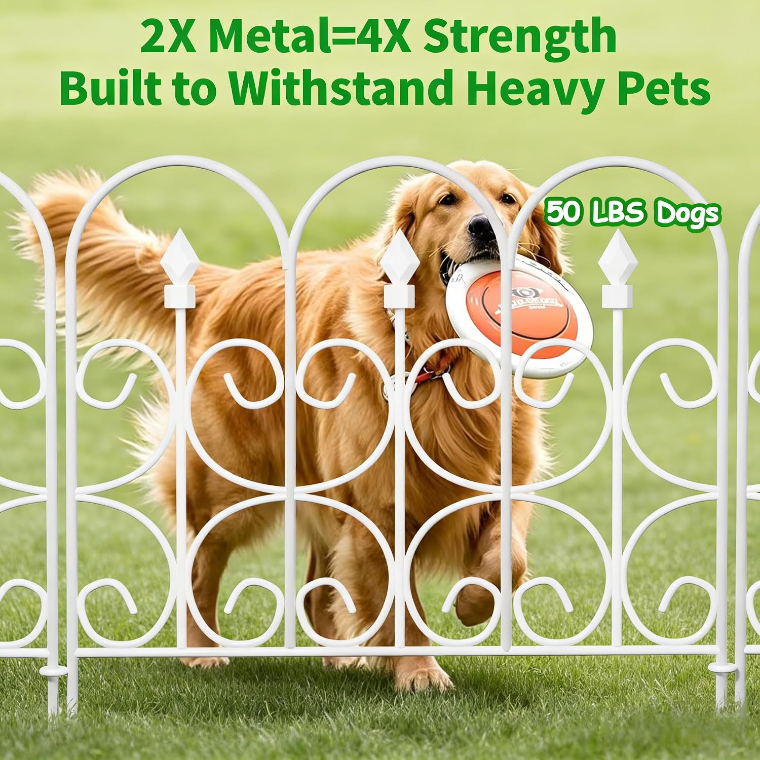 AMAGABELI GARDEN & HOME 5 Panels 32in(H)×10ft(L) Decorative Garden Fences and Borders for Dogs No Dig Rustproof Metal Fence Panels Garden Edging Border Animal Barrier Fencing for Flower Beds Black