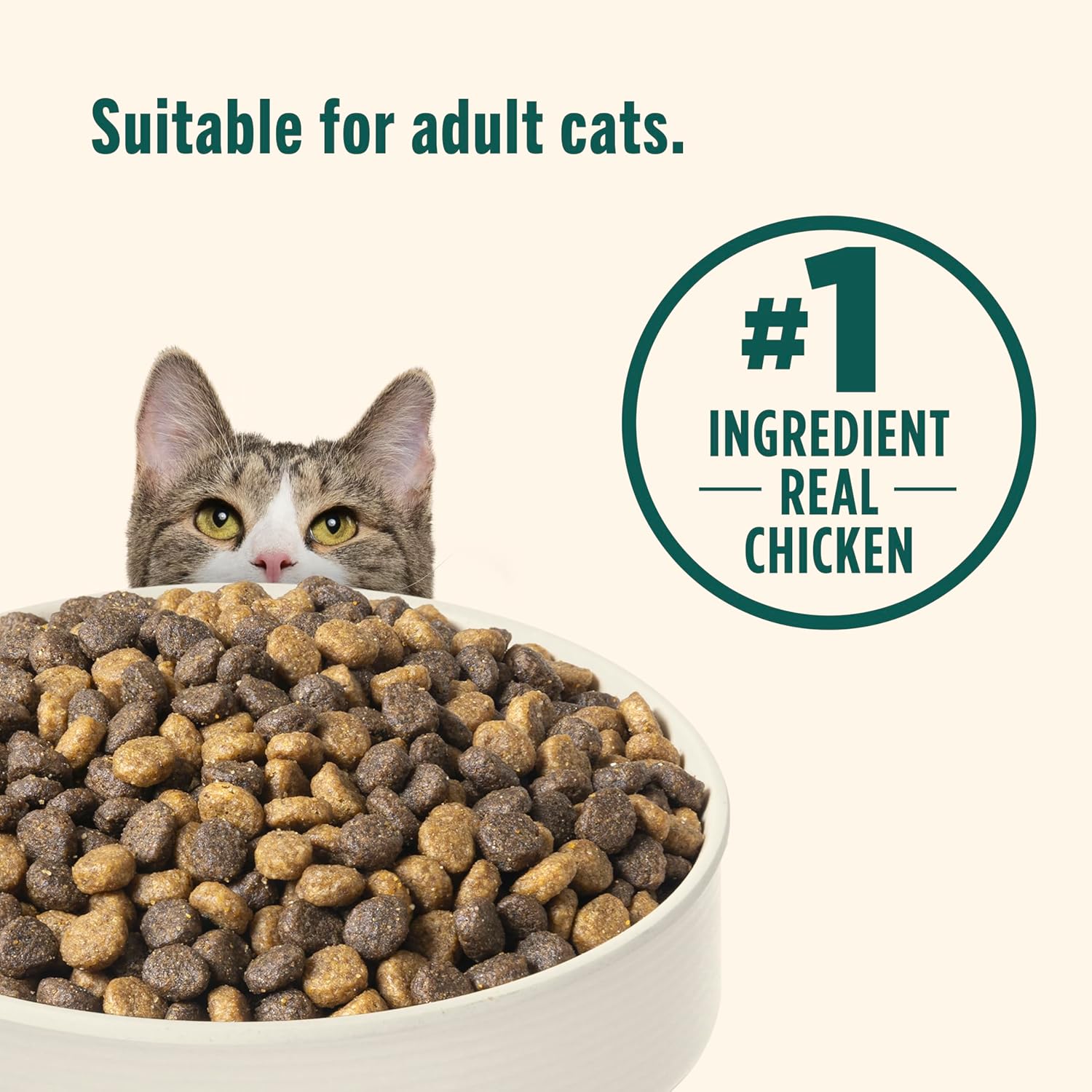 Nutrish Indoor Complete Dry Cat Food, 3 lb. Bag (Rachael Ray) | Chicken, Lentils & Salmon Recipe, Crafted for Adult Indoor Cats, Veterinarian Reviewed Formula