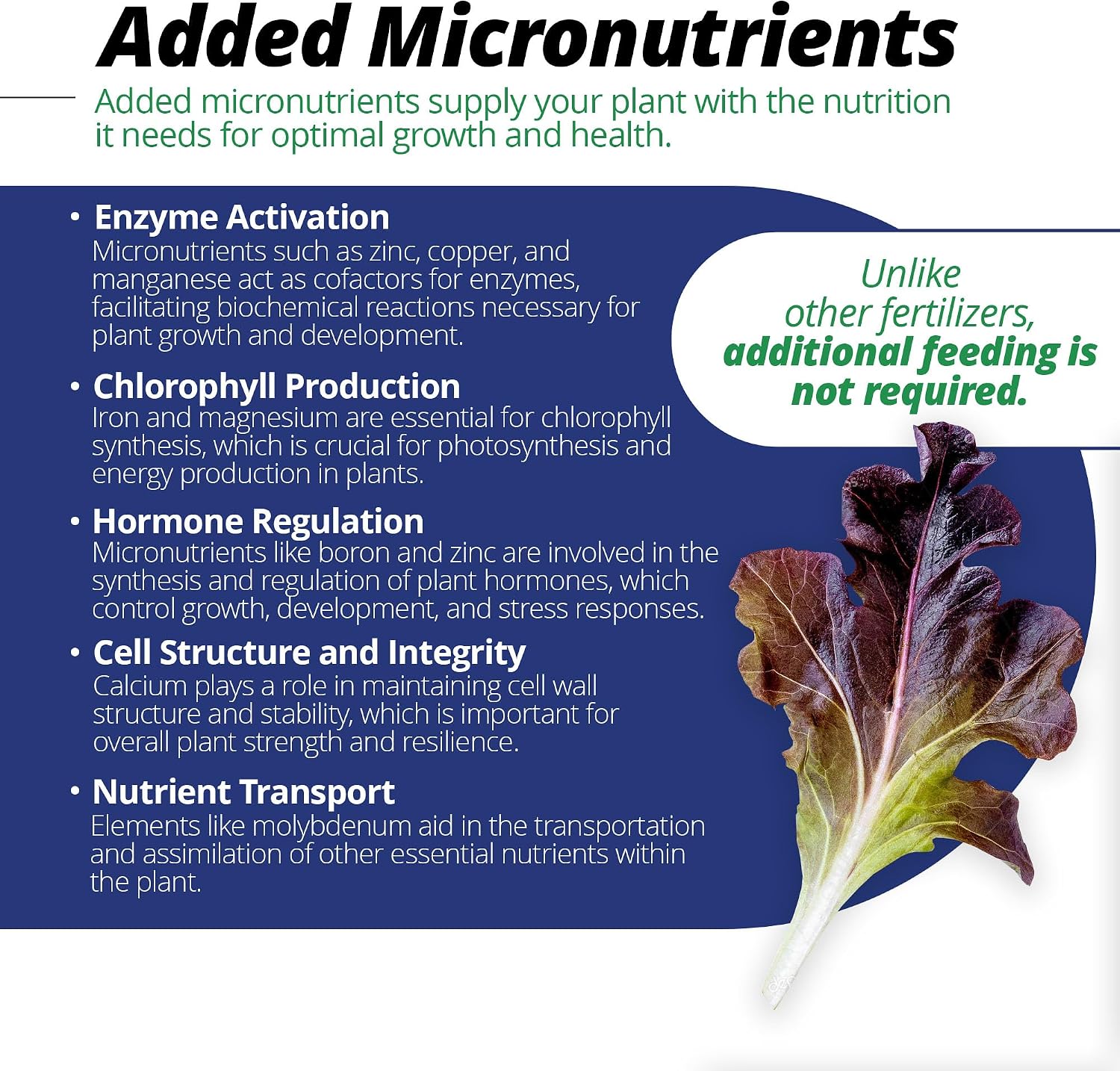 Jack's Professional CA-MG LX Comprehensive Water-Soluble Fertilizer, 25lb | 15-5-15 Plant Food, Full Micronutrient Package