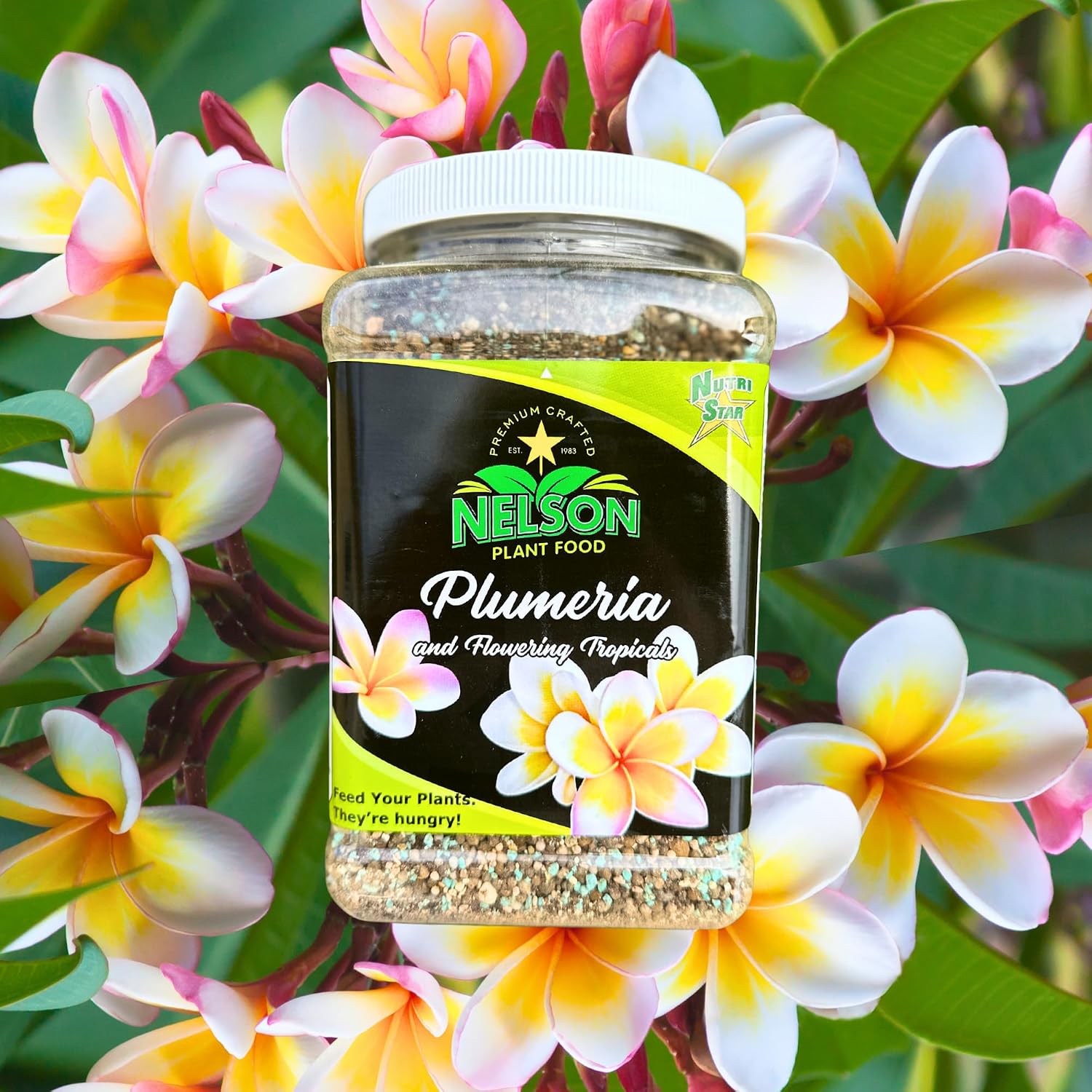 Nelson Plumeria Plant and All Flowering Tropicals Food Ferns Orchids Lilys In Ground Container Patio Grown Granular Fertilizer NutriStar 5-30-5 (4 lb)