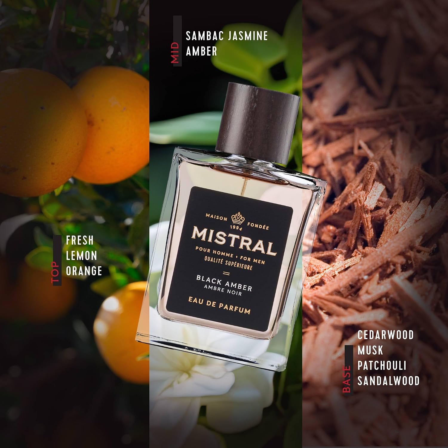 Mistral Bourbon Vanilla Eau de Parfum for Men, Men's Cologne, 3.4 Oz | Warm & Sweet Masculine Scent with Vanilla, Patchouli & Sandalwood, Cruelty-Free, Long-Lasting Perfume, Made in France