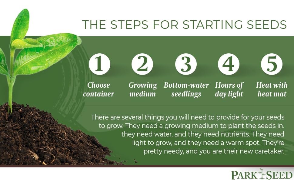 Tips for starting seeds