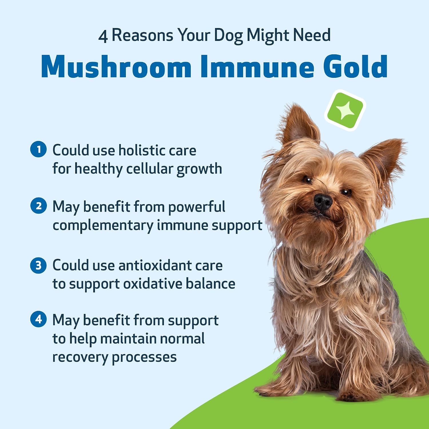 Pet Wellbeing Mushroom Immune Gold for Dogs - Immune Defense