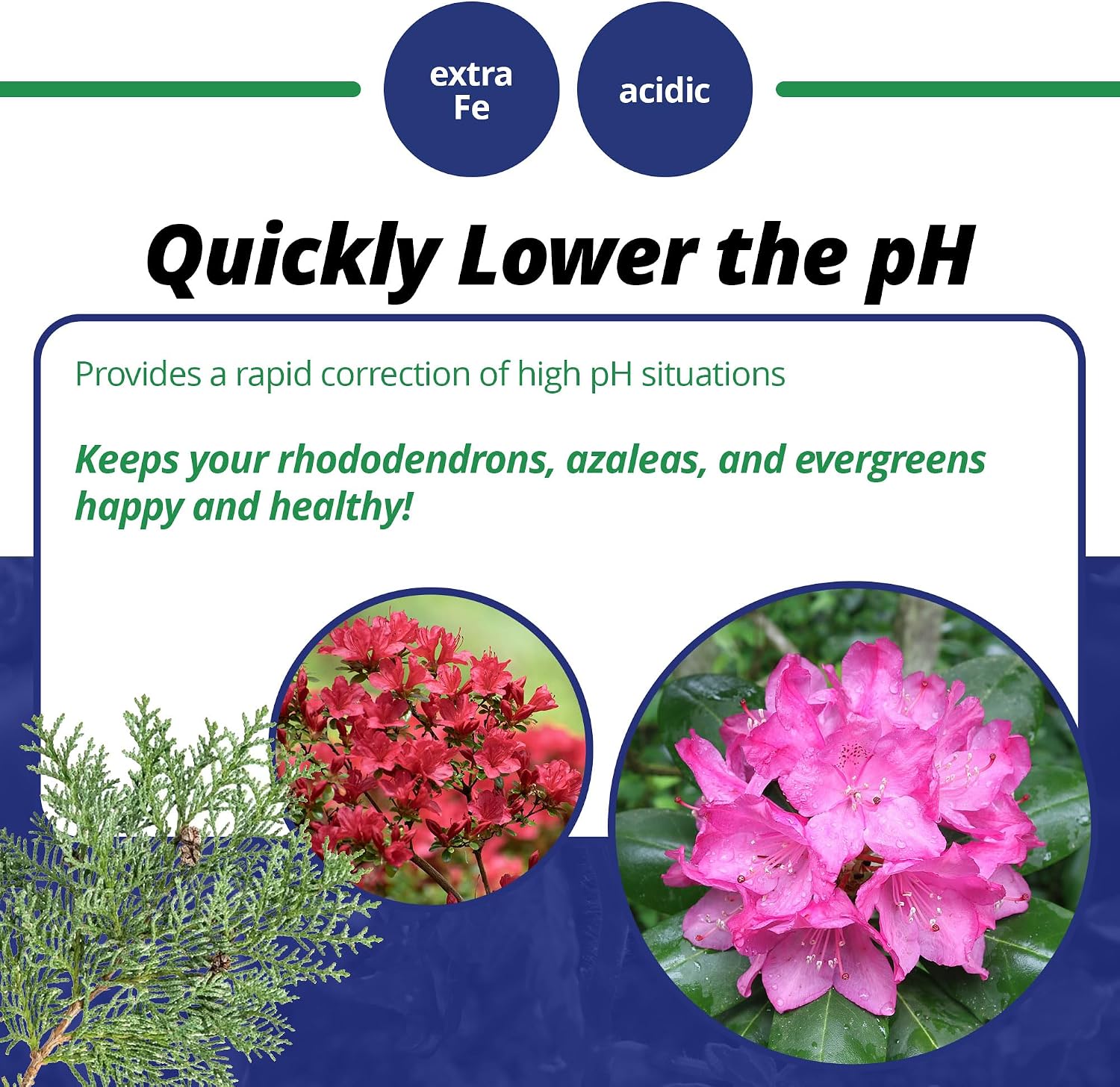 Jack's Professional 21-7-7 Water Soluble Fertilizer, 25lb | Powdered, Targeted Micronutrient Package, Rapid Correction of High pH Situations