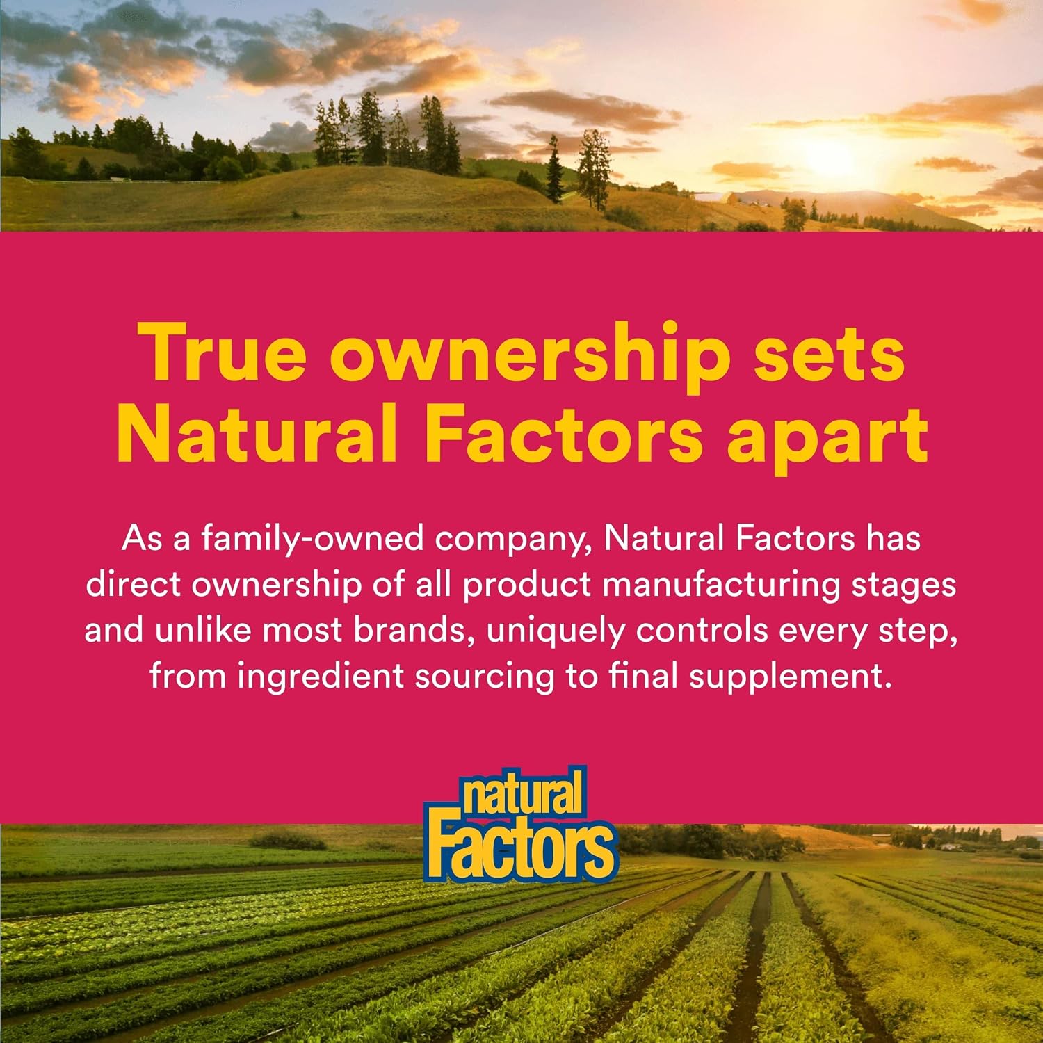 Natural Factors, Calcium Citrate, Helps Maintain Strong Bones and Teeth, 90 tablets (90 servings)