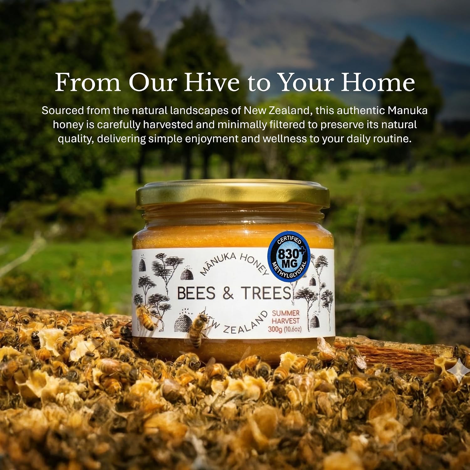 Bees & Trees Manuka Honey 550+ MGO - Raw Pure New Zealand Monofloral, 380g | Natural, Unpasteurized, Minimally Processed Mānuka Honey for Your Daily Routine, Tea, Coffee & Smoothies